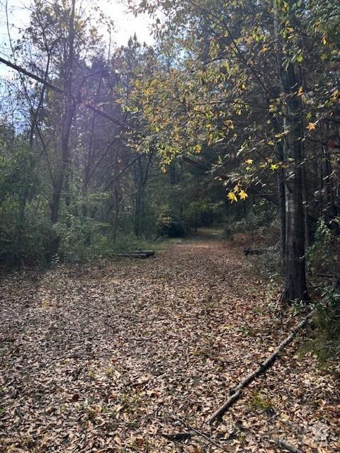 665 E Robertson Road Property Photo 2