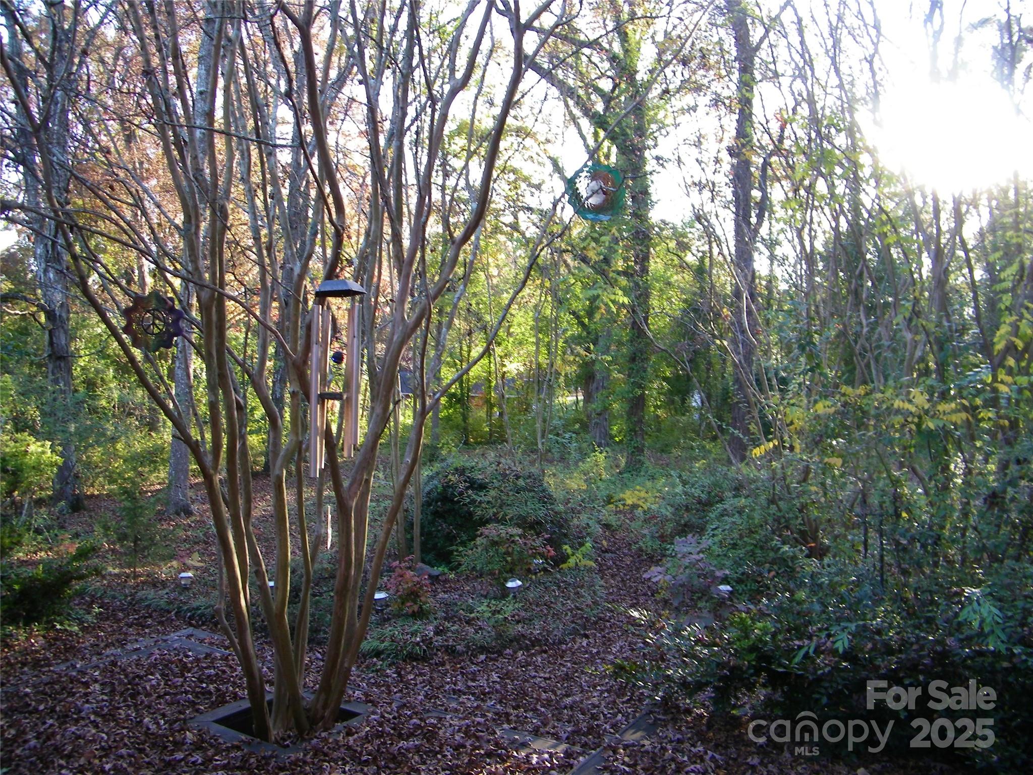 72 Lecline Circle Property Photo 9