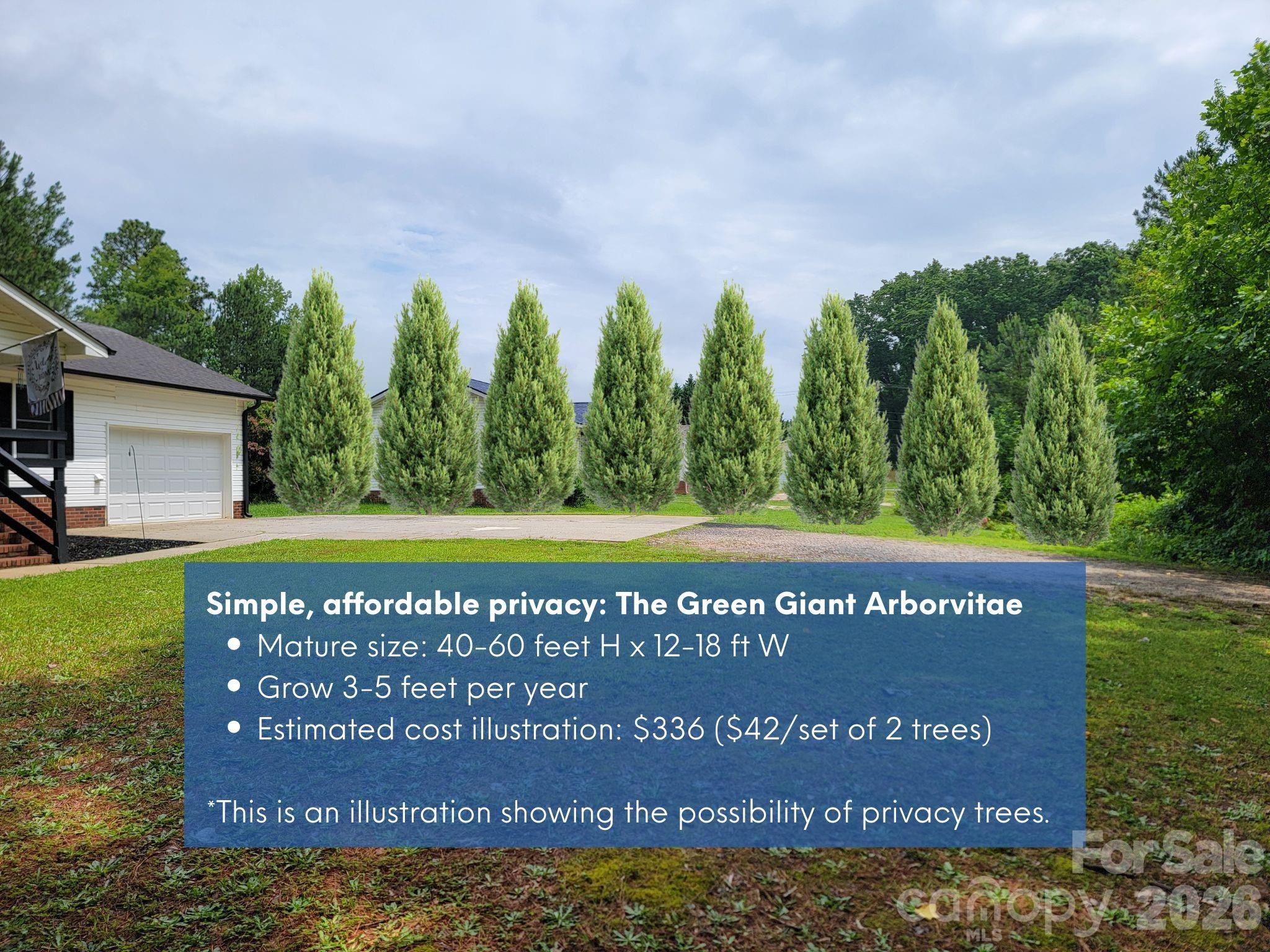 113 Tanager Drive Property Photo 3