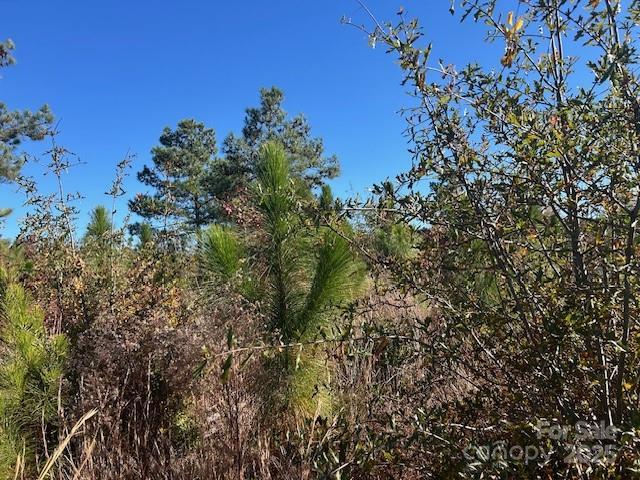 3583 Mill Creek Road Property Photo 8