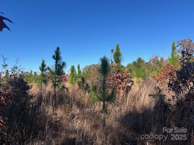3583 Mill Creek Road Property Photo 18