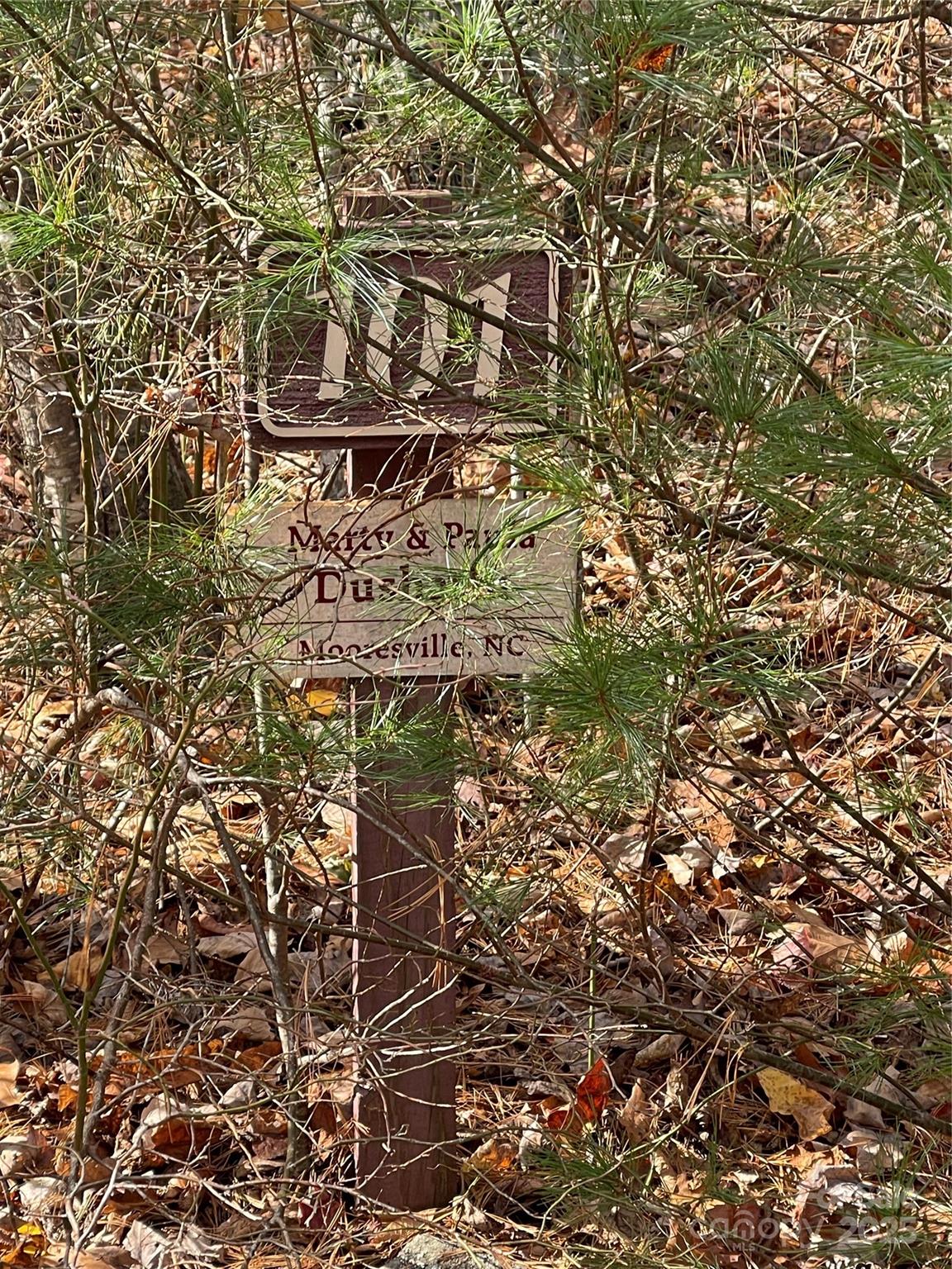 00 Pinnacle Falls Lane Property Photo 1