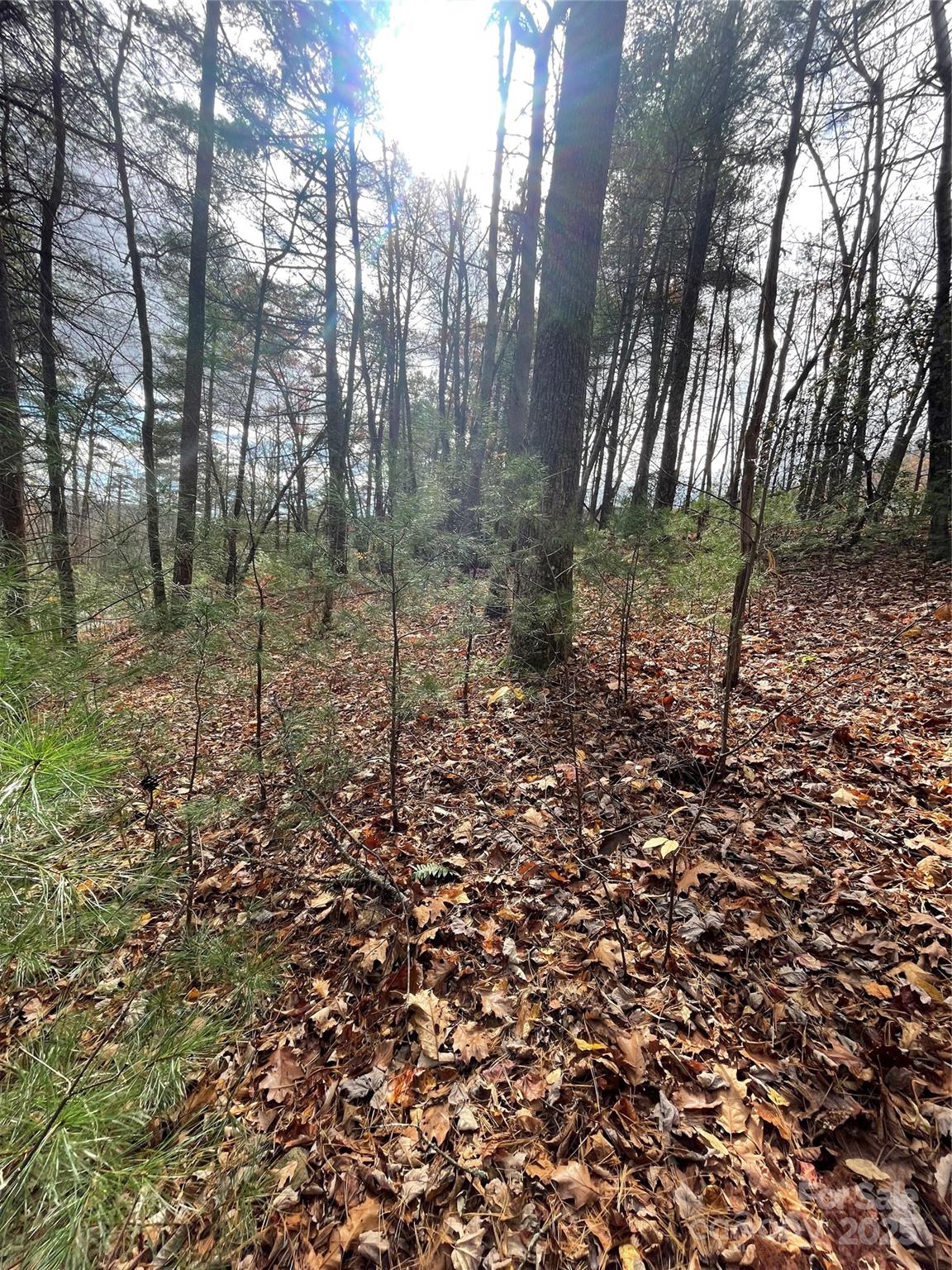 00 Pinnacle Falls Lane Property Photo 4