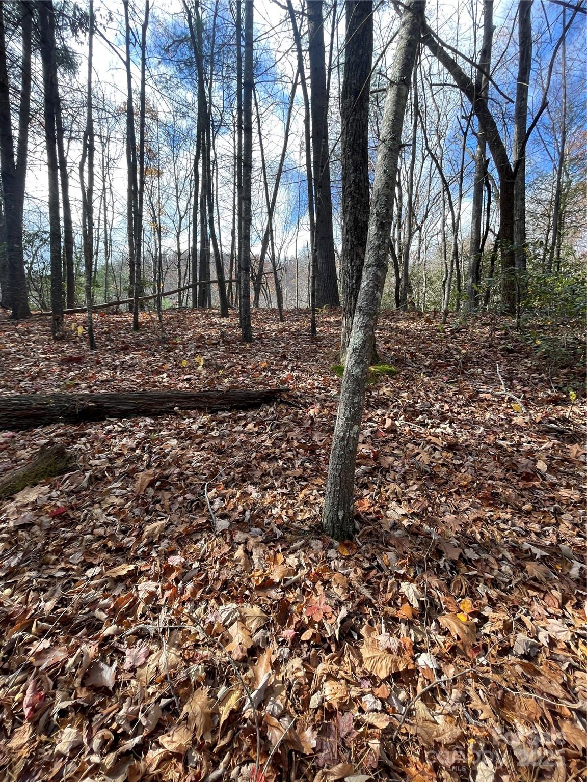 00 Pinnacle Falls Lane Property Photo 7