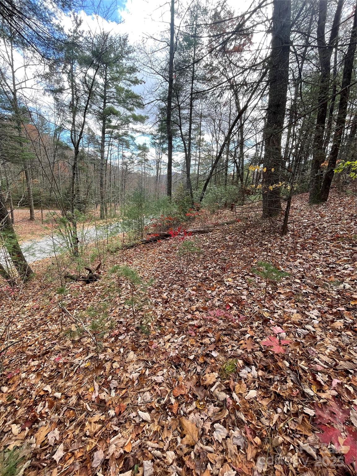 00 Pinnacle Falls Lane Property Photo 8
