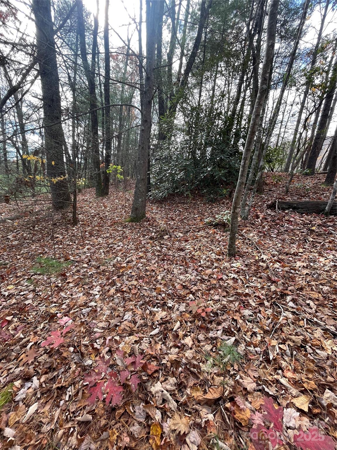 00 Pinnacle Falls Lane Property Photo 9