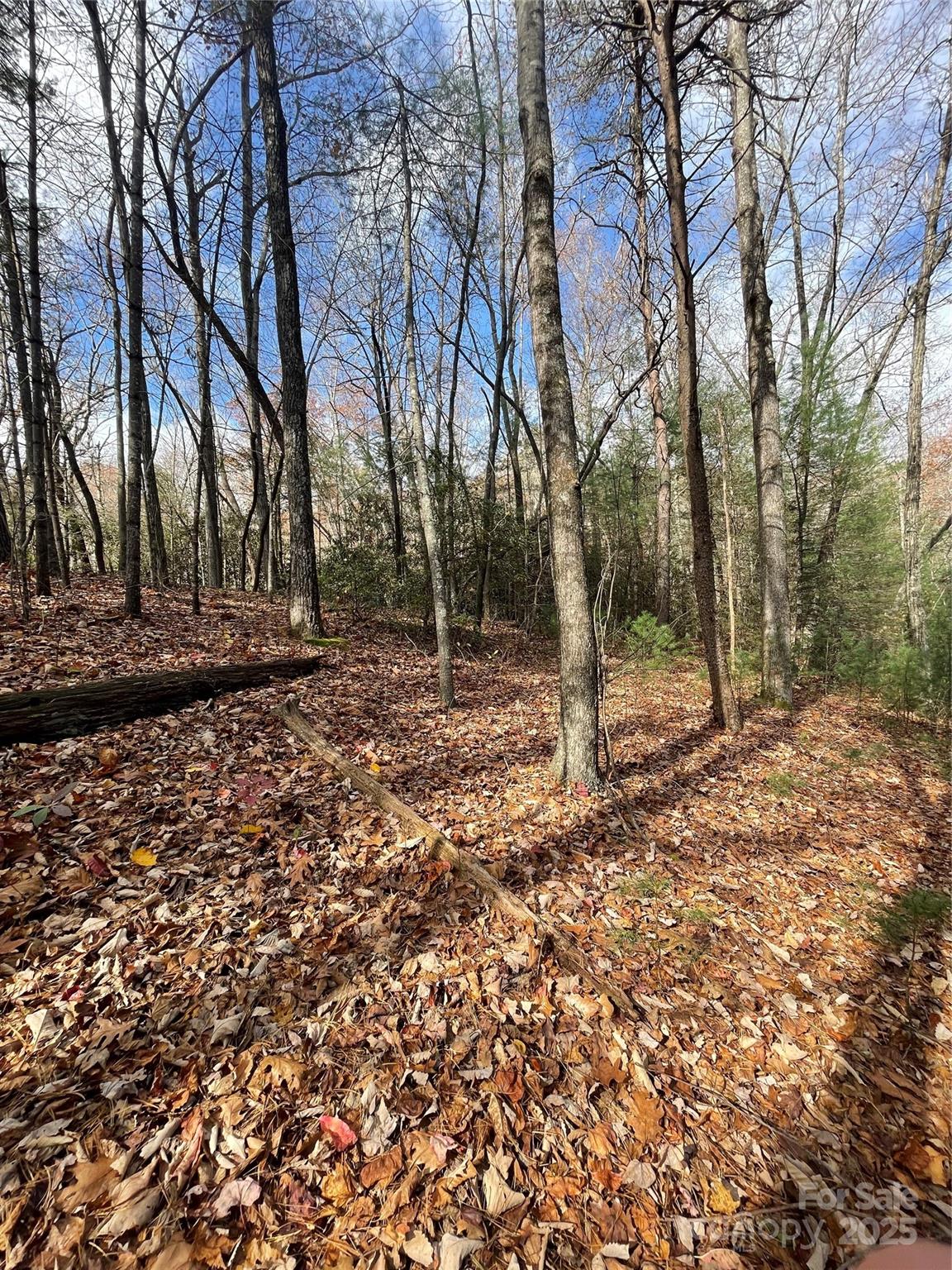 00 Pinnacle Falls Lane Property Photo 10