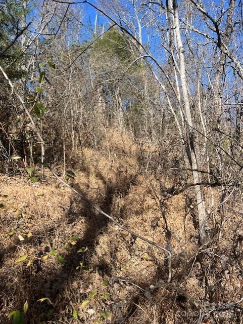 Tbd Bend View Drive Property Photo 8