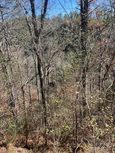 Tbd Bend View Drive Property Photo 10