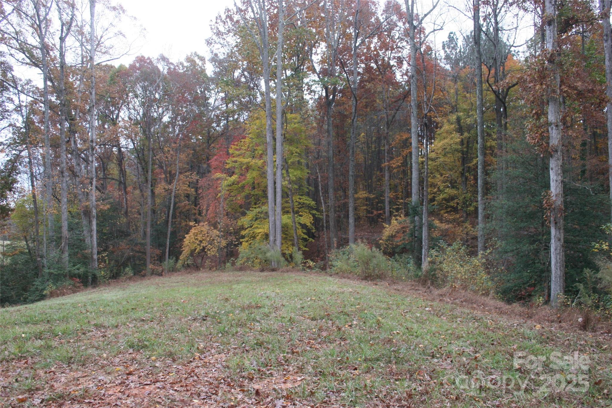 433 Lockhard Circle Property Photo 25