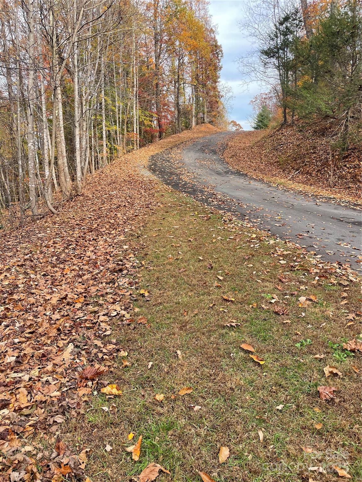 V/l Lot 72 & 170 Black Lark Drive Property Photo 11