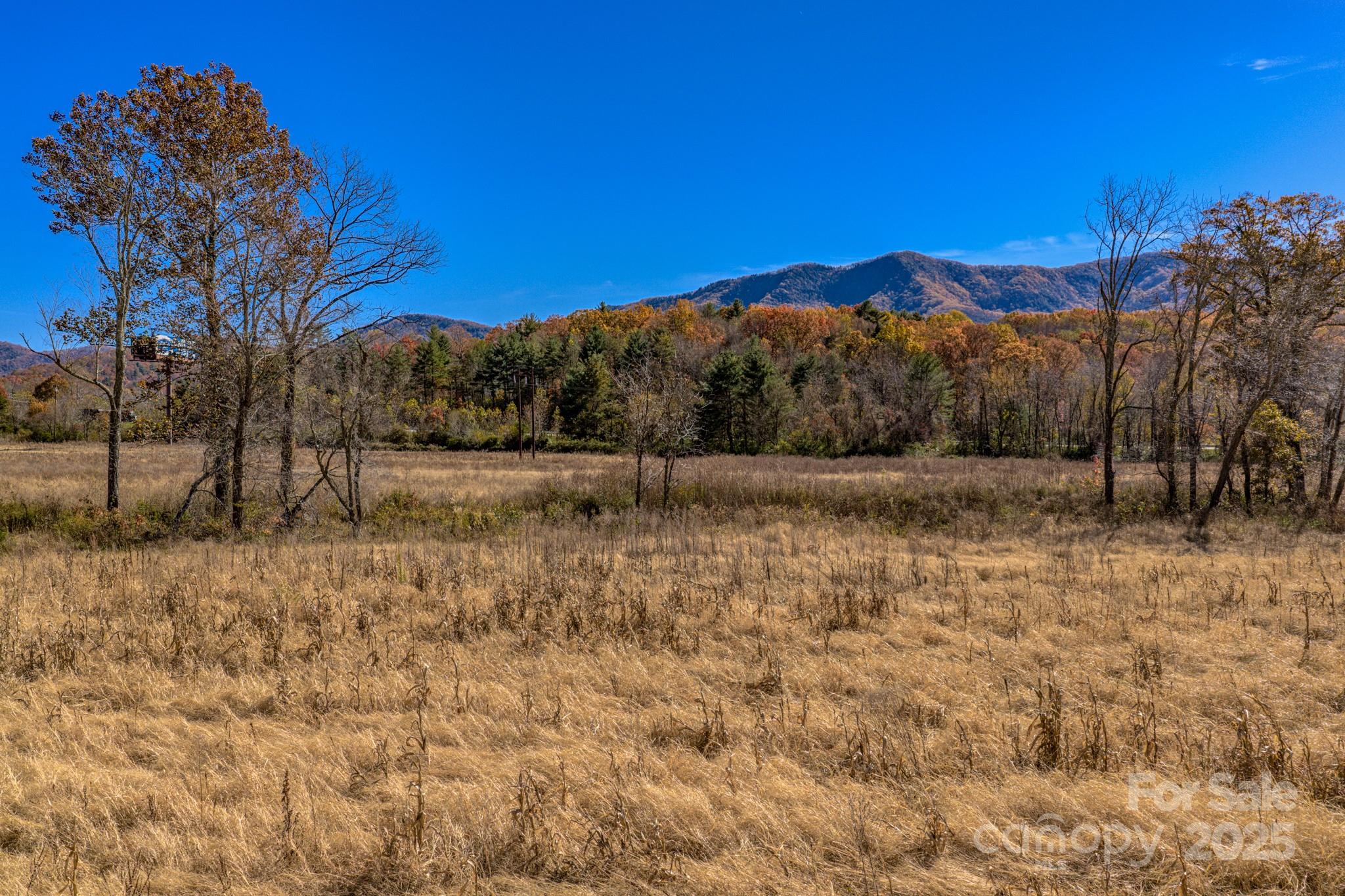 865 Blue Ridge Road Property Photo 6