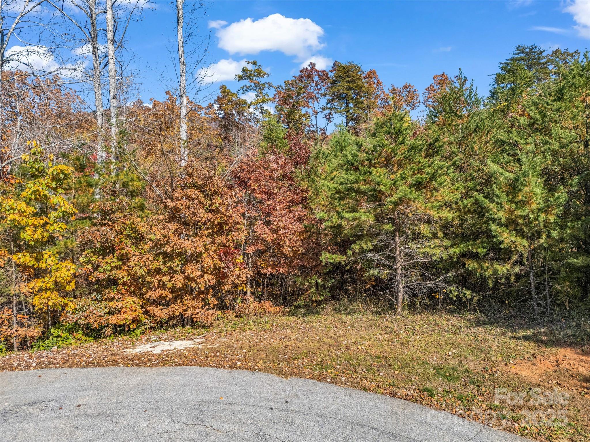 0 Crest Drive Property Photo 30