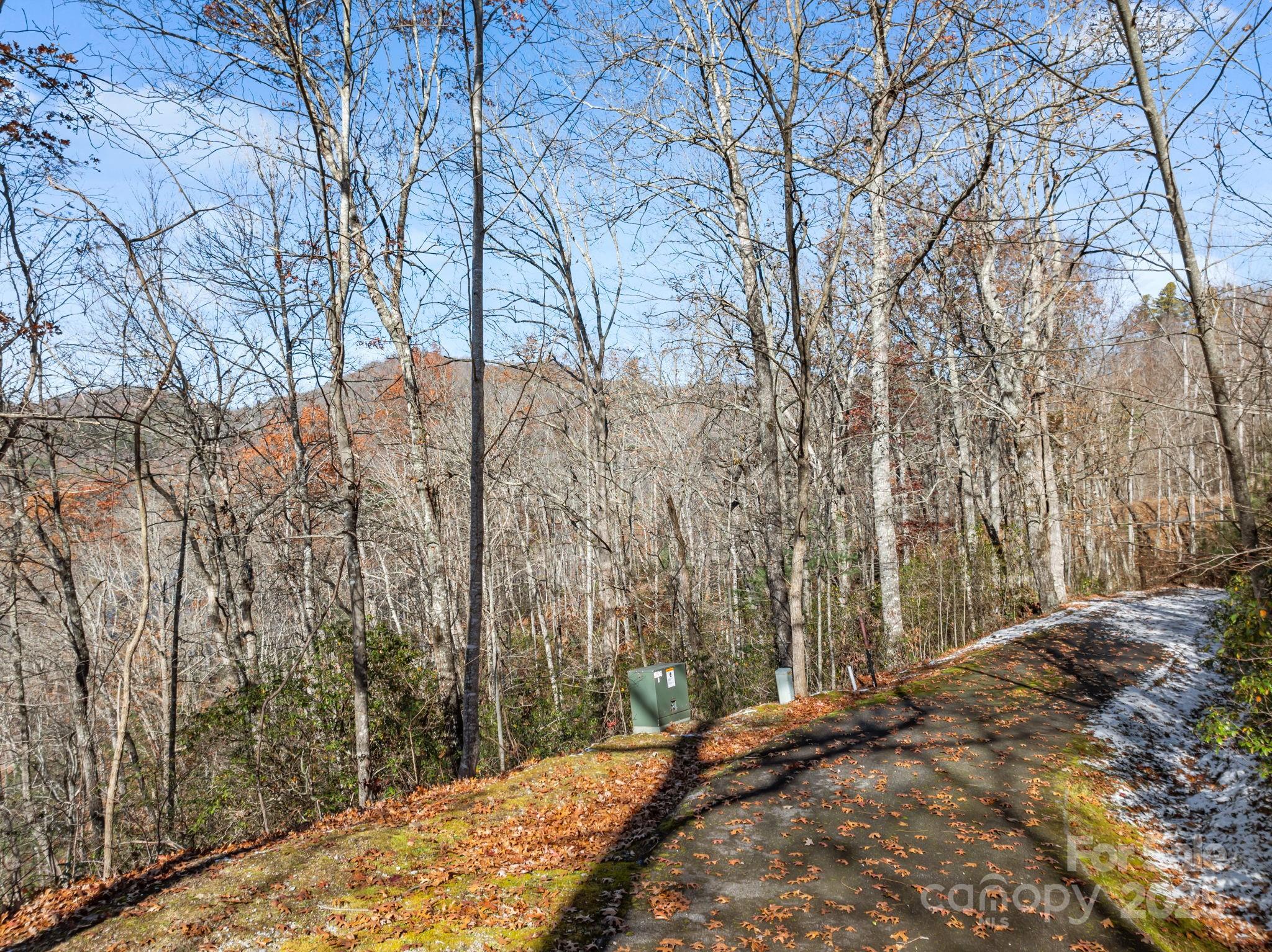 151 Trout Lily Lane Property Photo 3