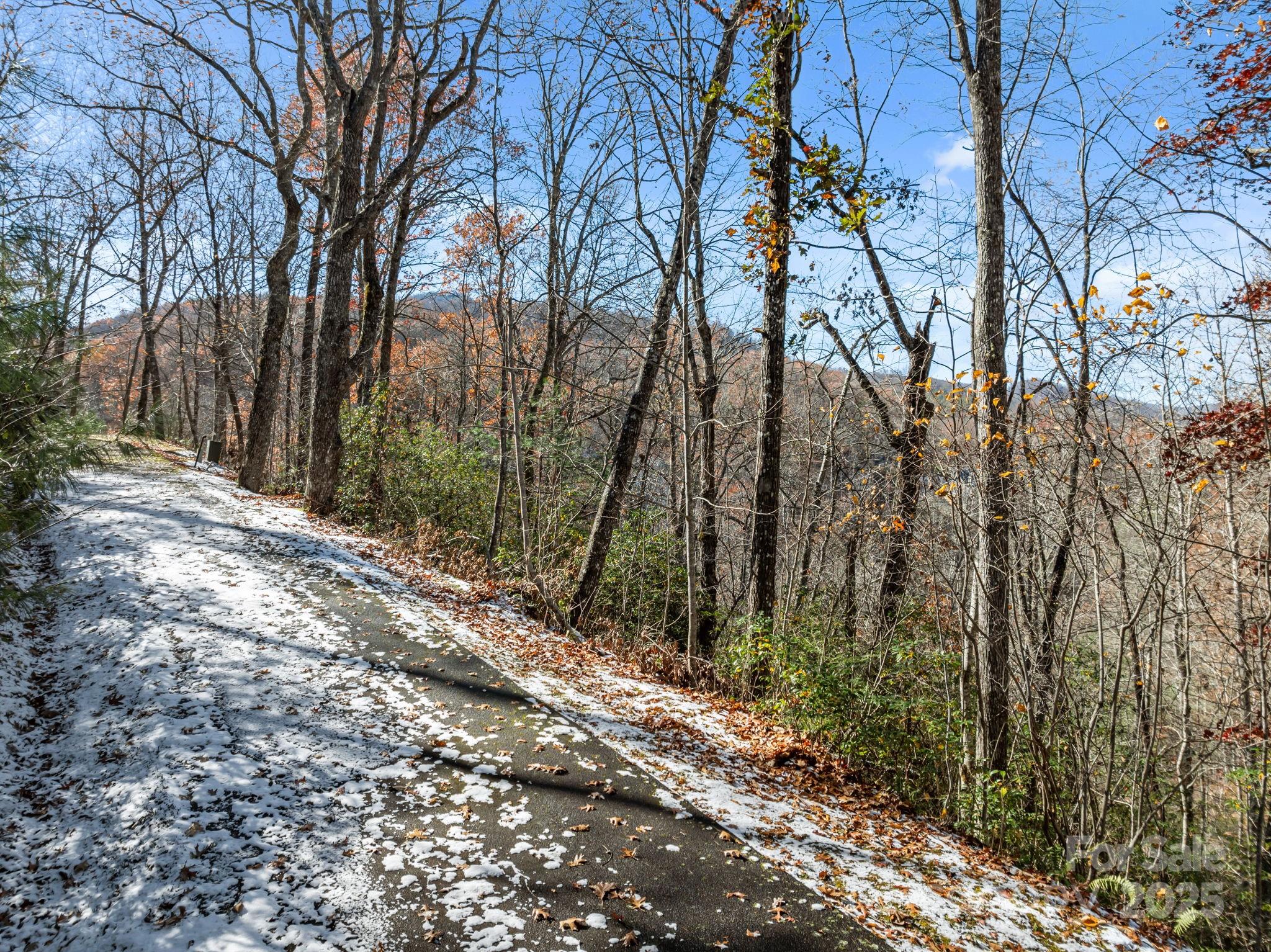 151 Trout Lily Lane Property Photo 4