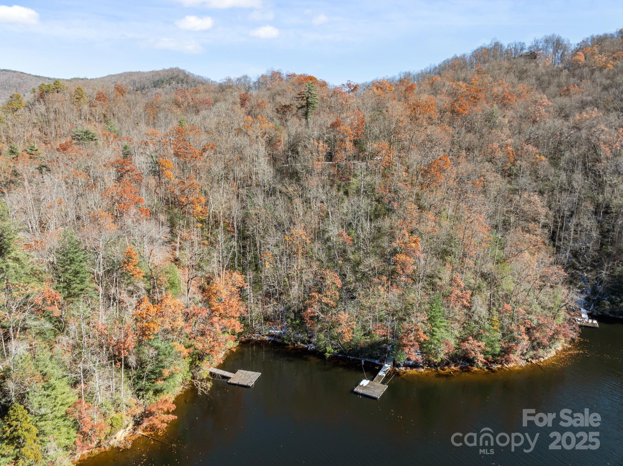 151 Trout Lily Lane Property Photo 8