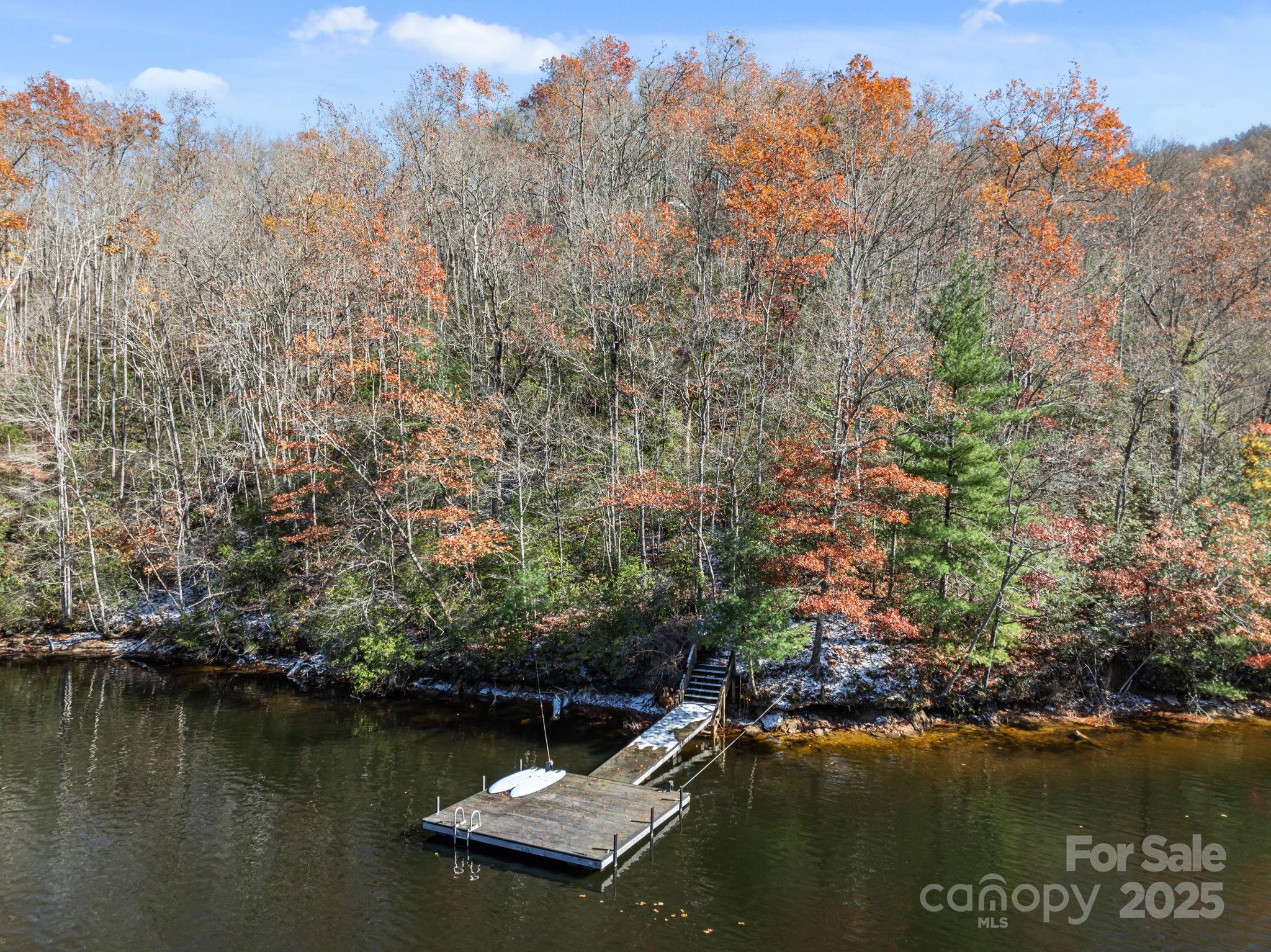 151 Trout Lily Lane Property Photo 9