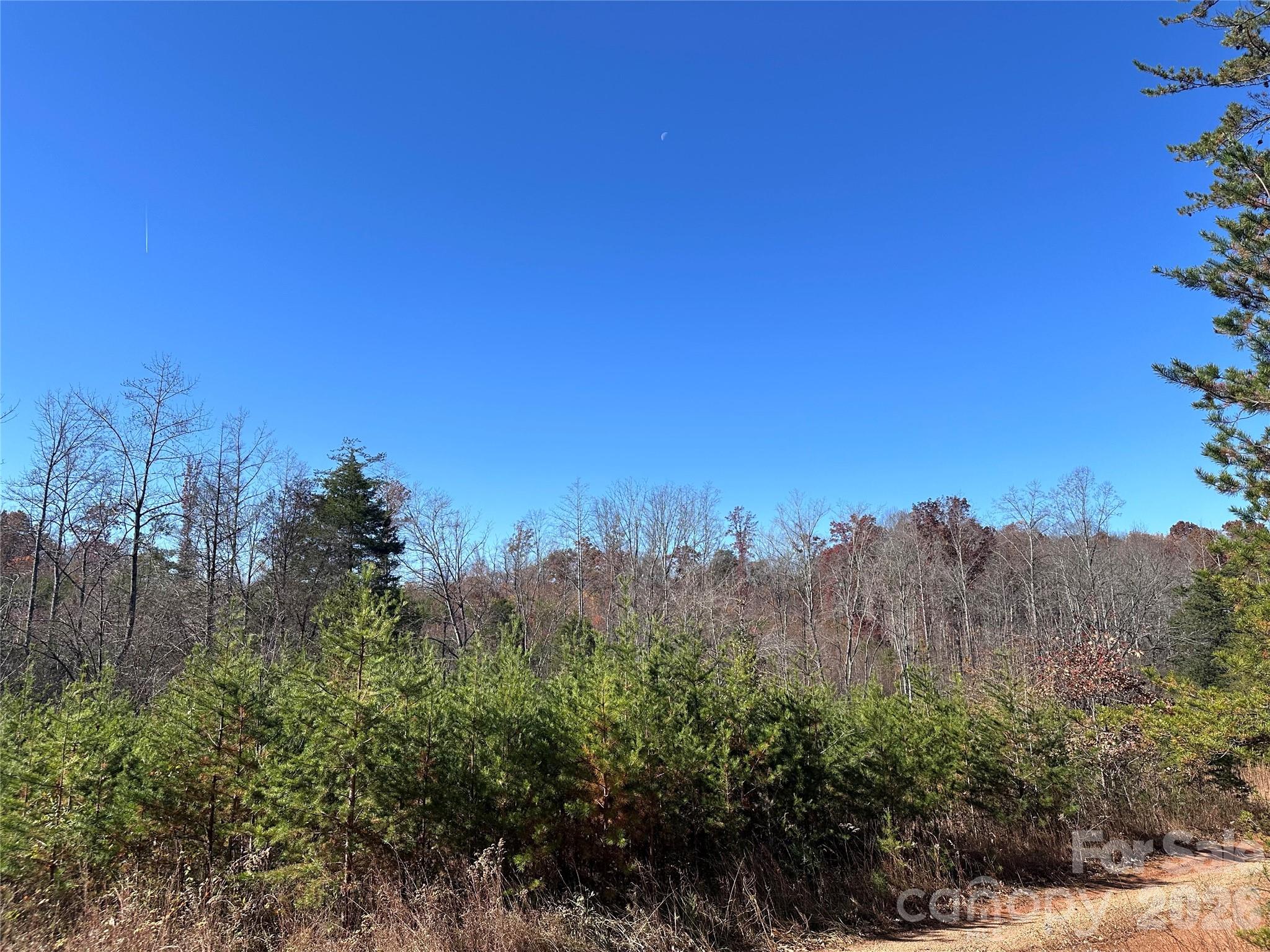 5 Stephens Trail Road Property Photo 3
