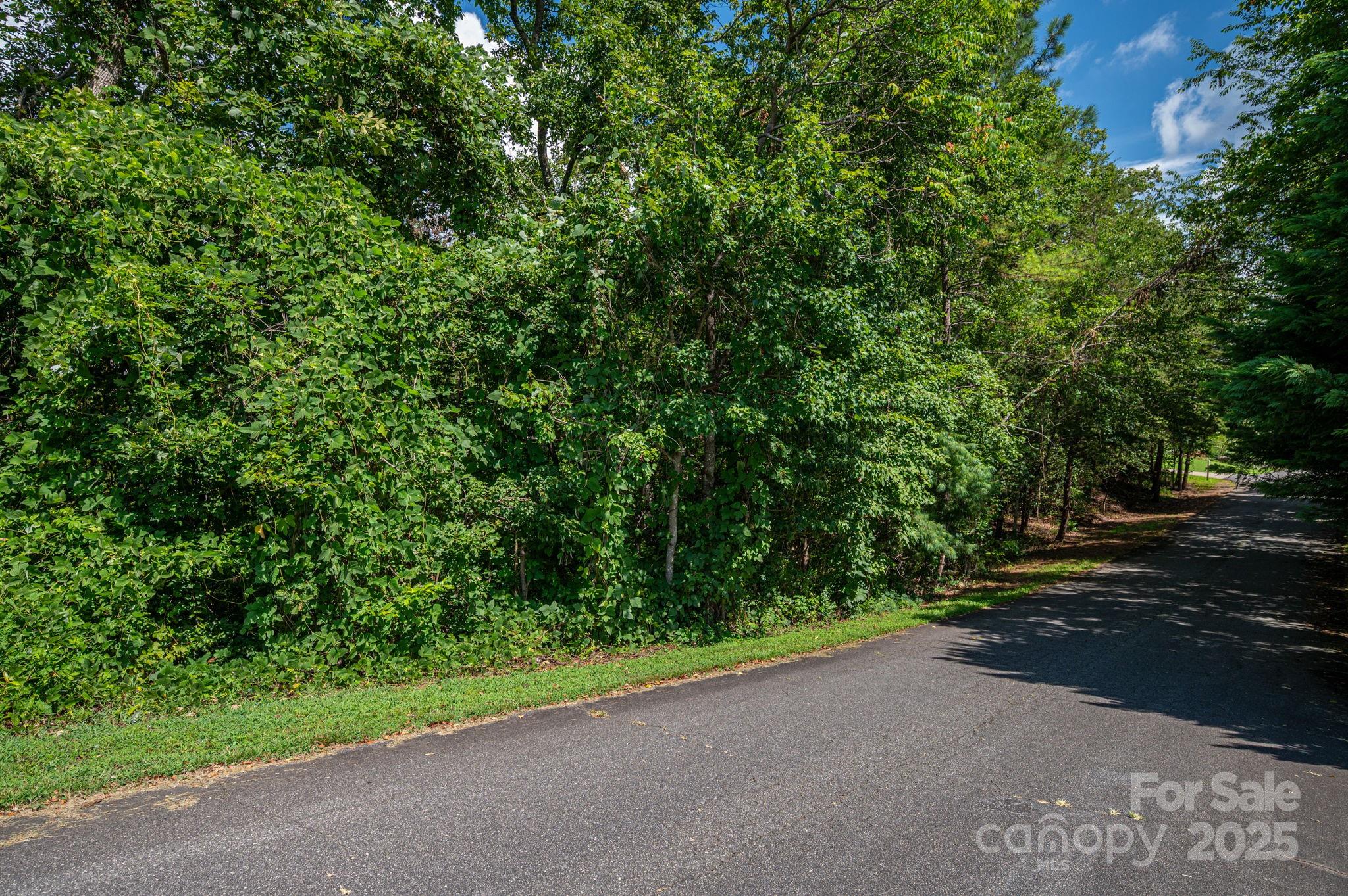 Lot 25 Line Drive Property Photo 1