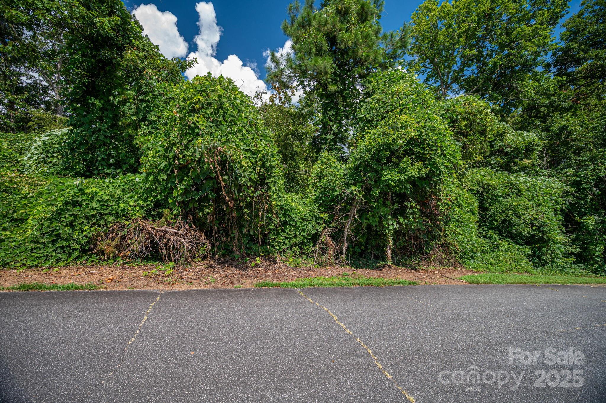 Lot 25 Line Drive Property Photo 4