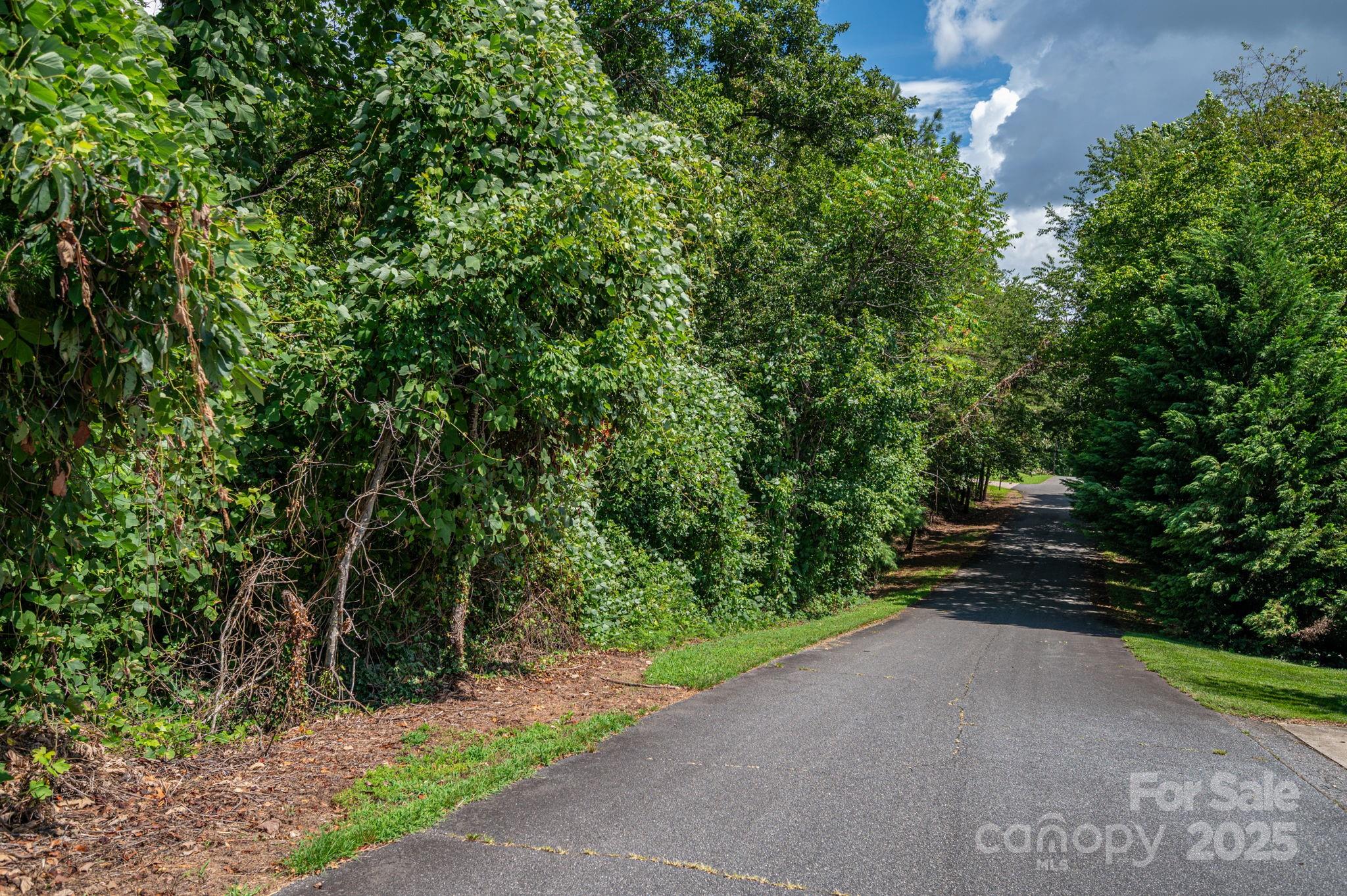 Lot 25 Line Drive Property Photo 5
