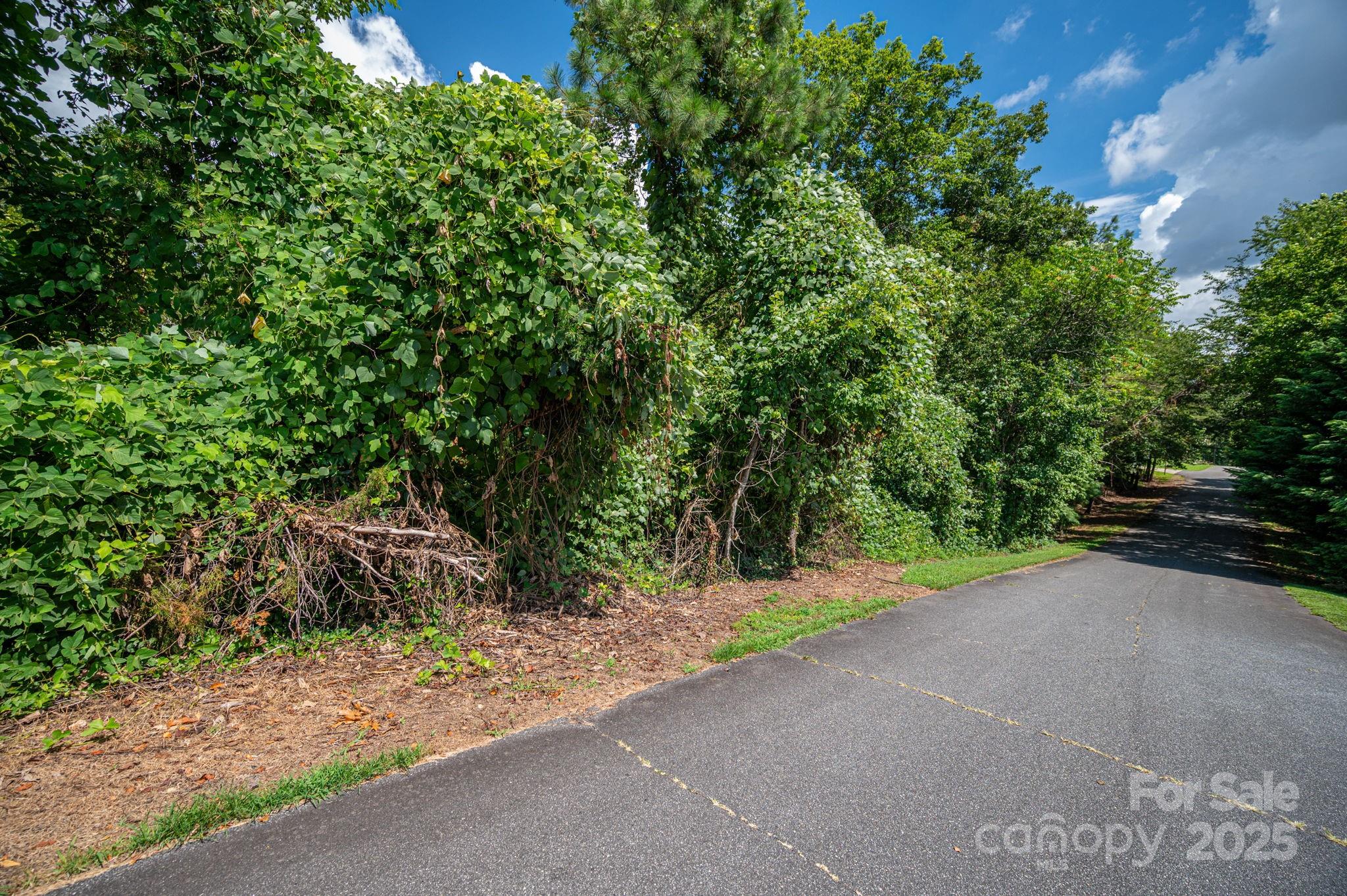 Lot 25 Line Drive Property Photo 6