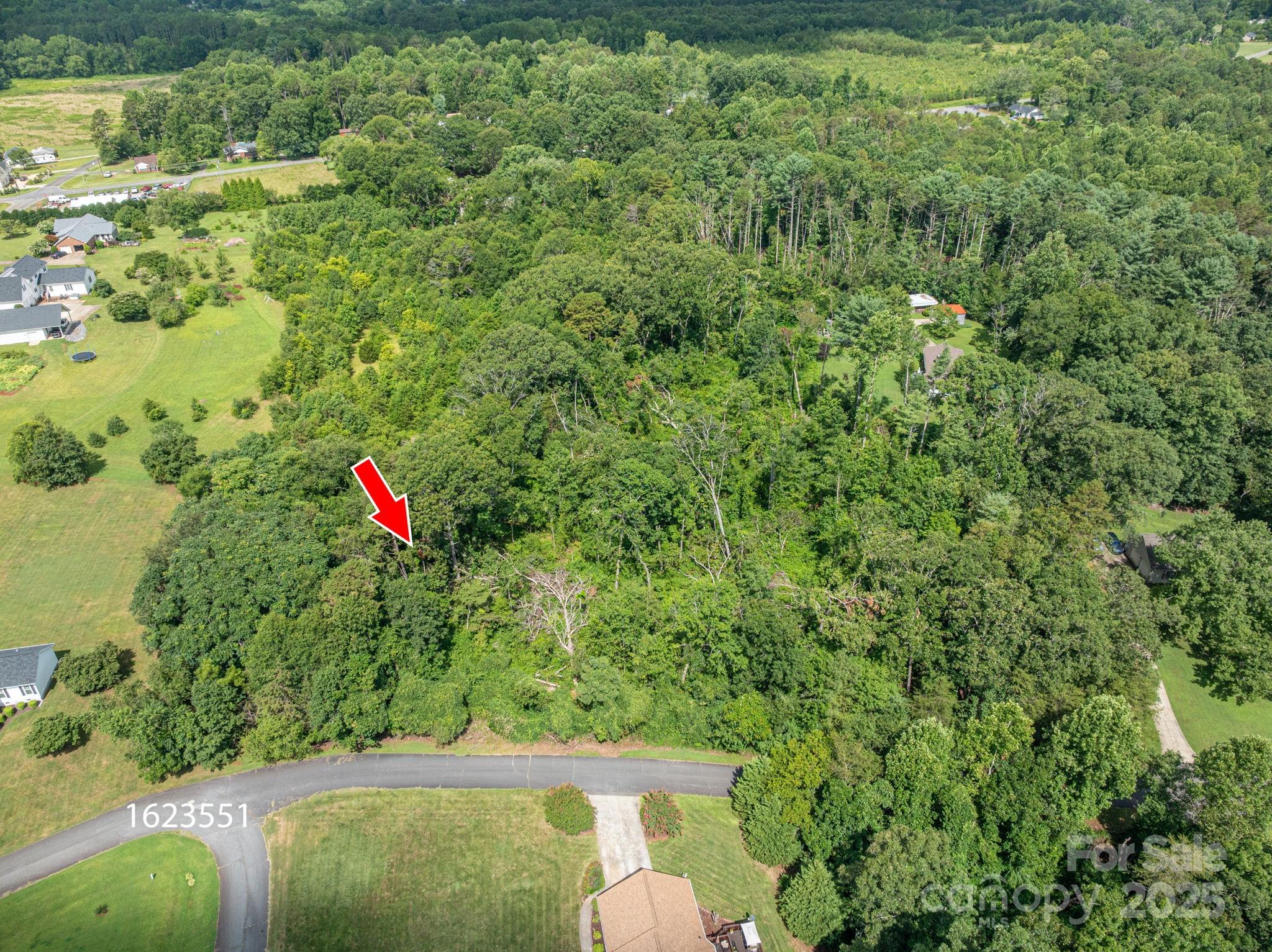 Lot 25 Line Drive Property Photo 7