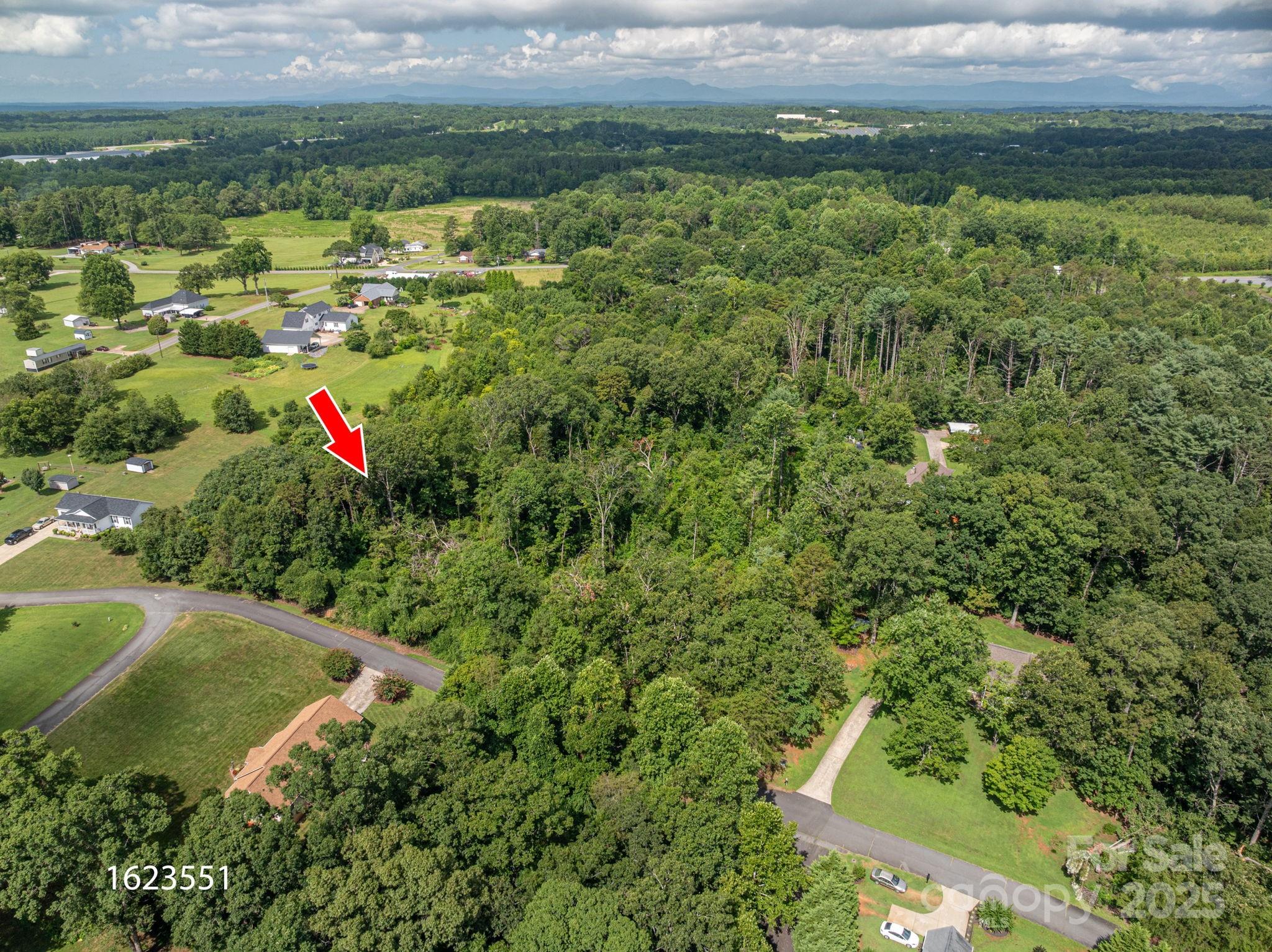Lot 25 Line Drive Property Photo 8