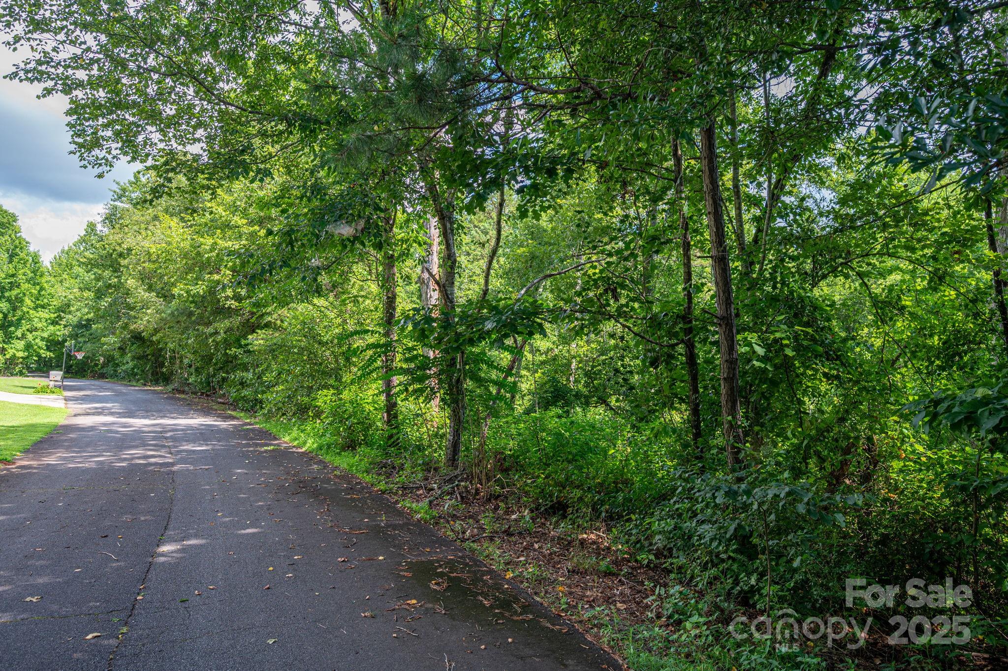 Lot 33 Line Drive Property Photo 1