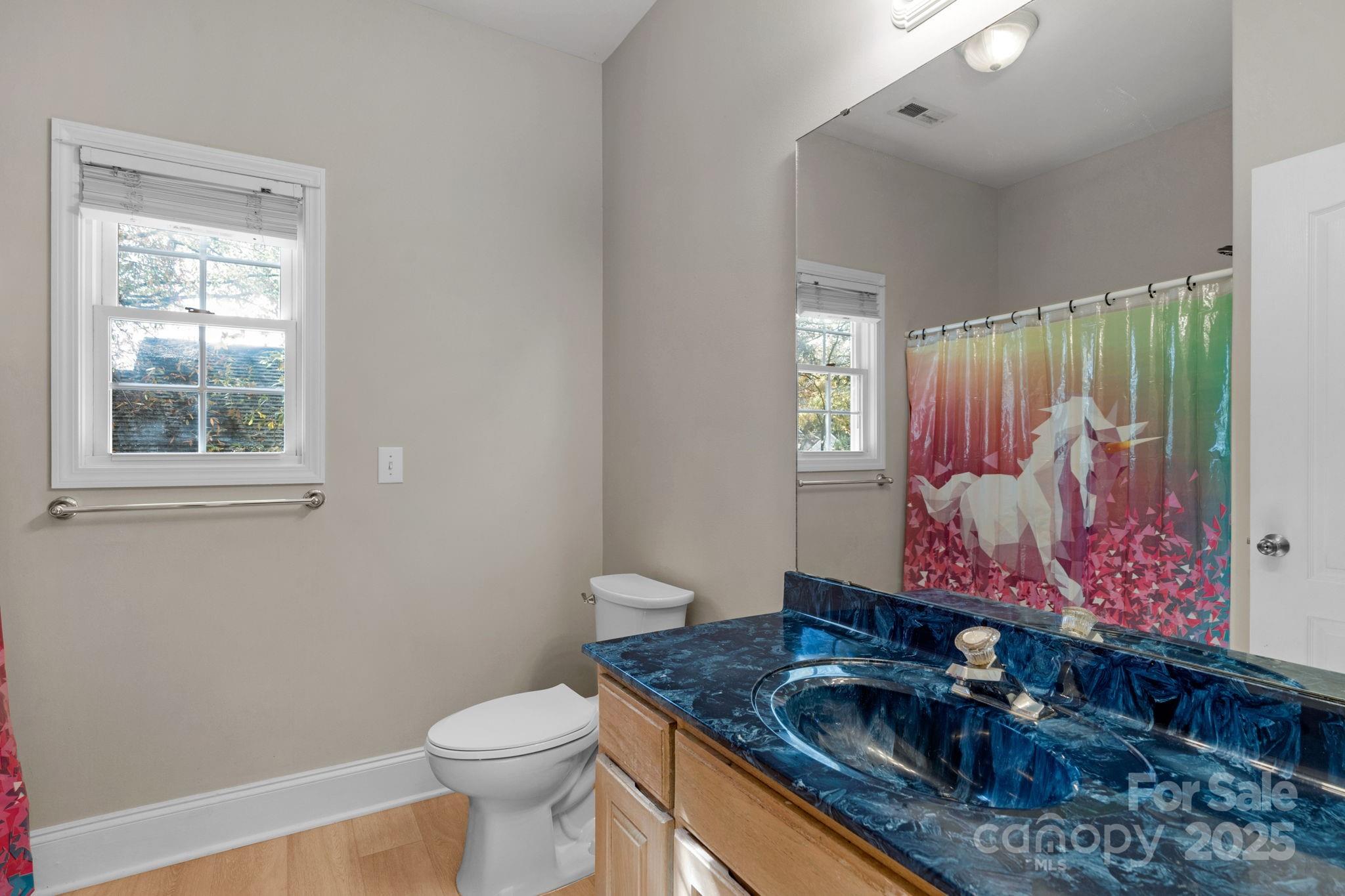 2227 Keswick Lane Property Photo 24