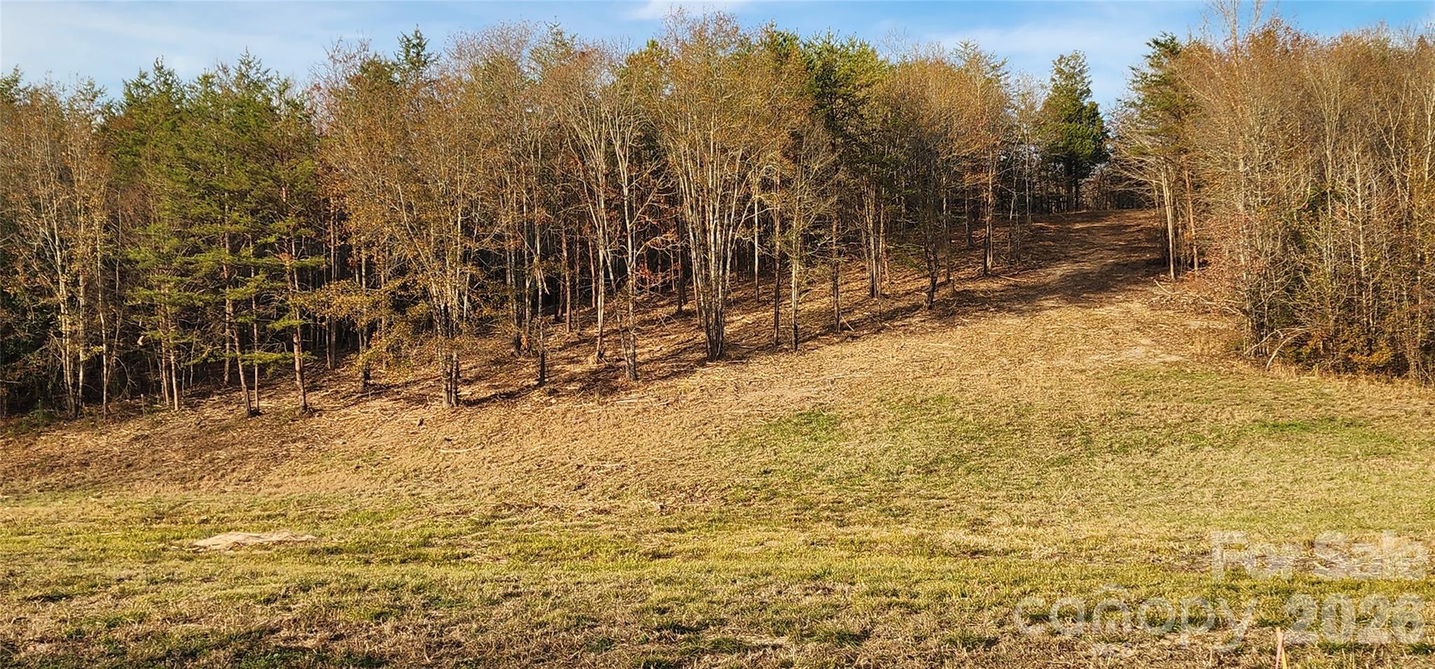 151 Cobb Road Property Photo 3