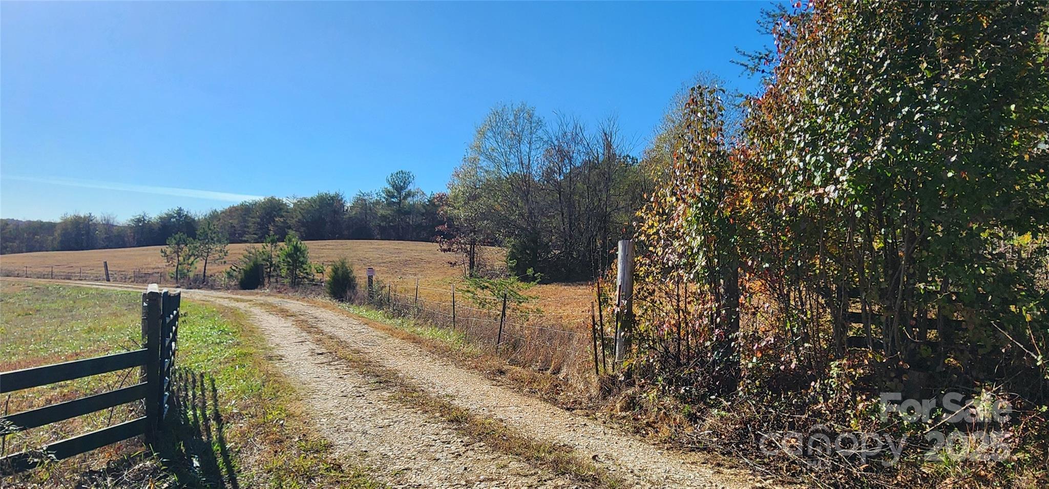 151 Cobb Road Property Photo 12