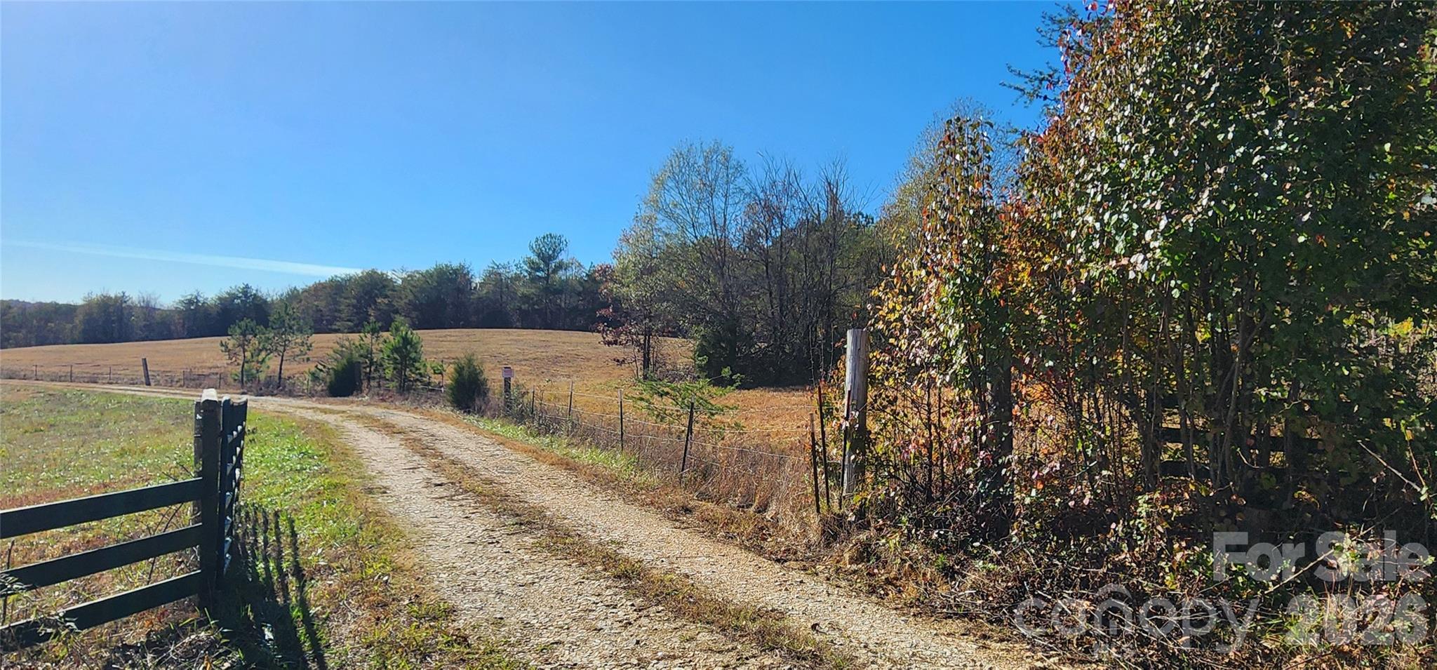 151 Cobb Road Property Photo 12