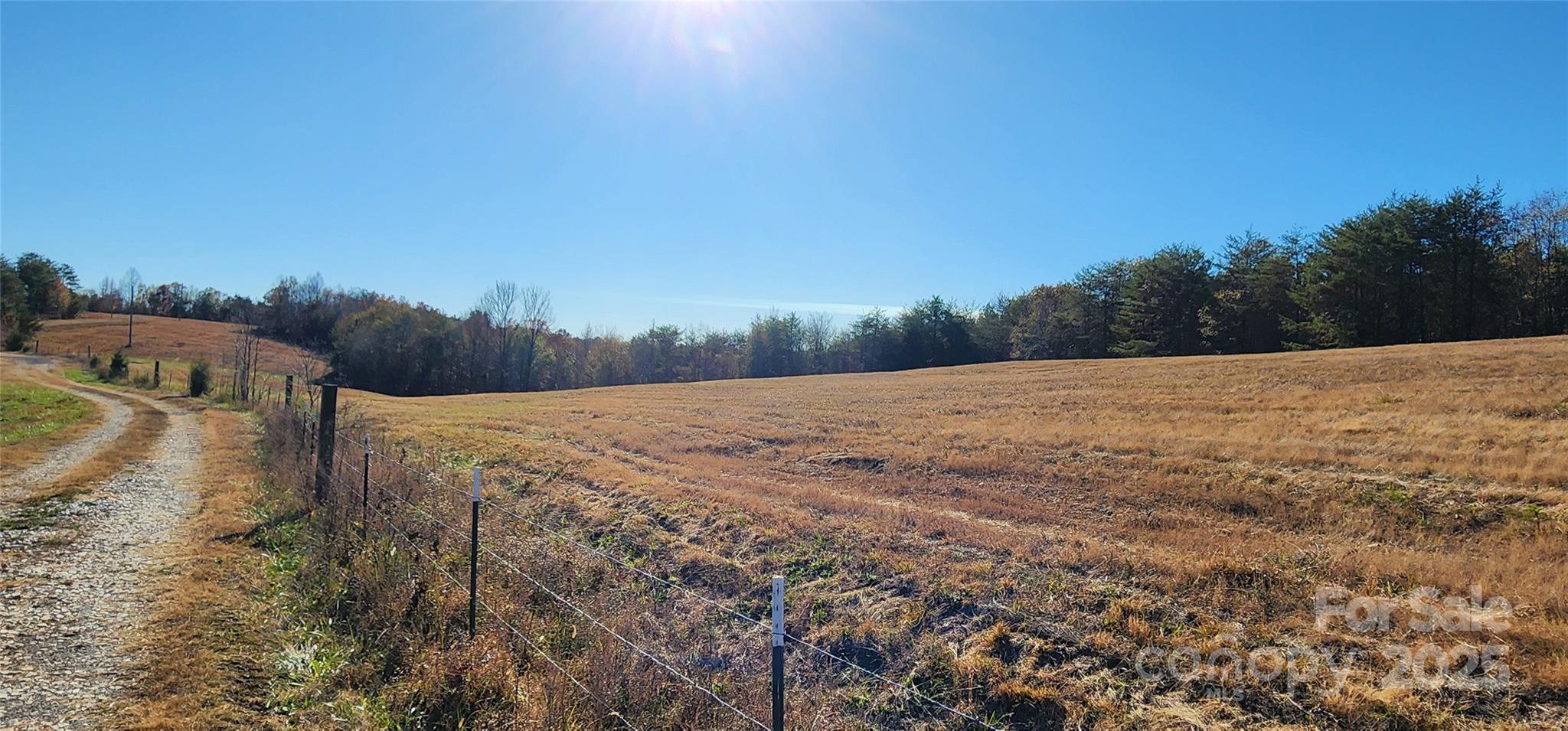 151 Cobb Road Property Photo 13