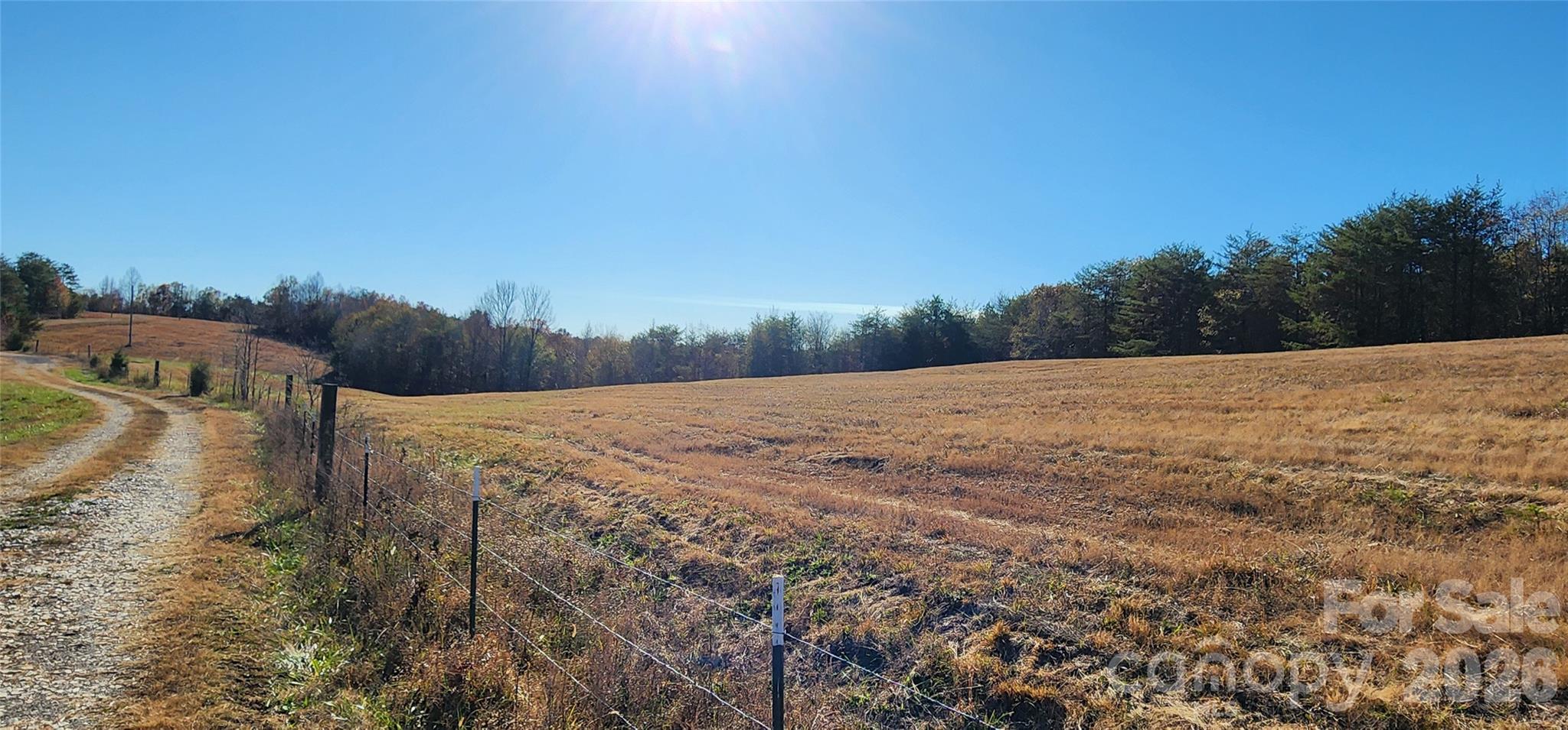 151 Cobb Road Property Photo 13