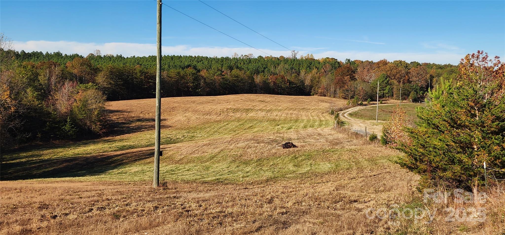 151 Cobb Road Property Photo 16