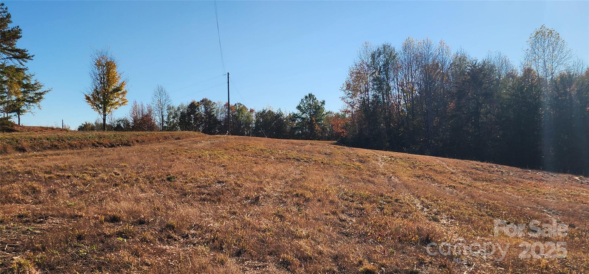 151 Cobb Road Property Photo 18