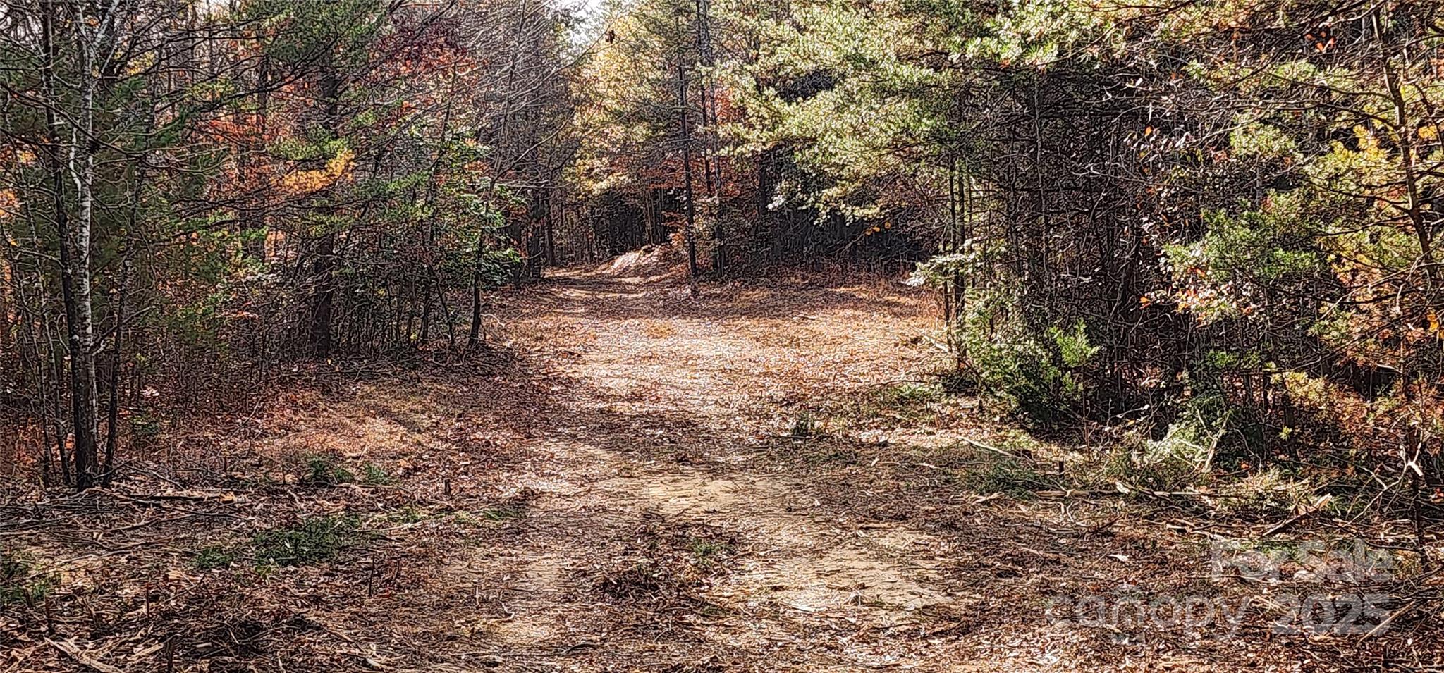 151 Cobb Road Property Photo 22