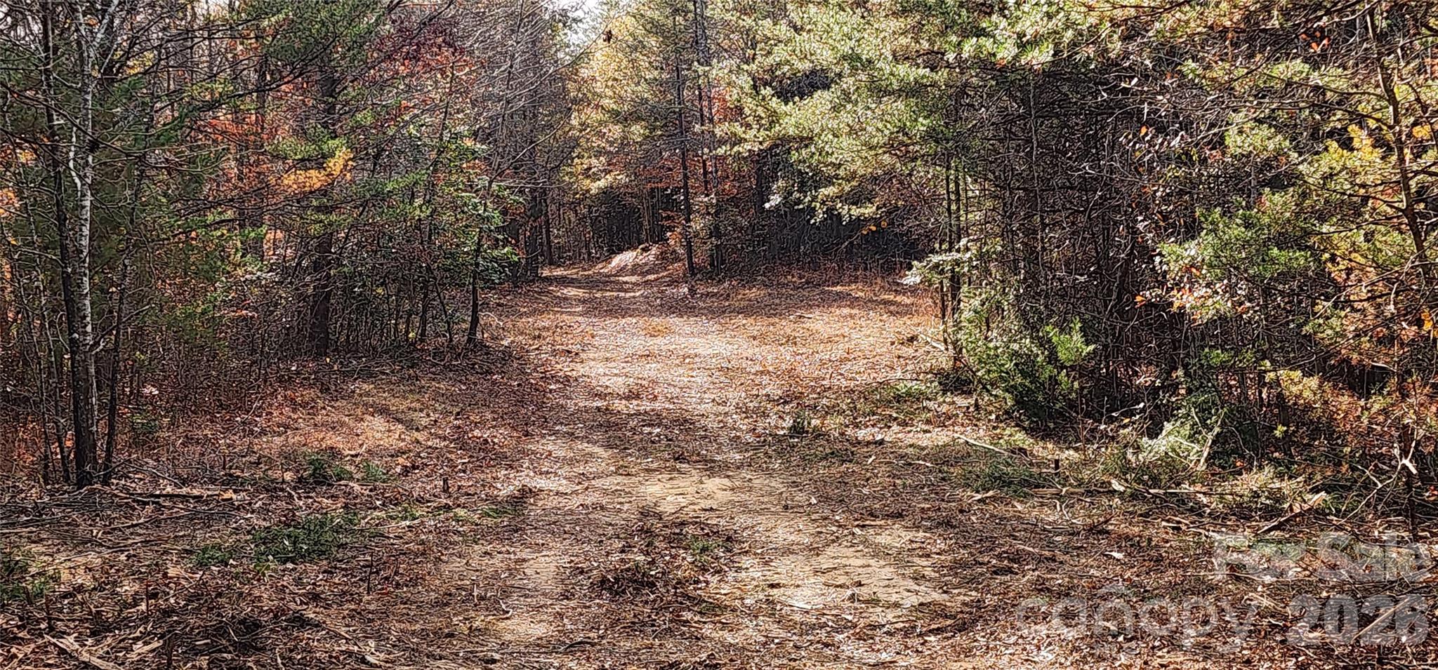 151 Cobb Road Property Photo 22