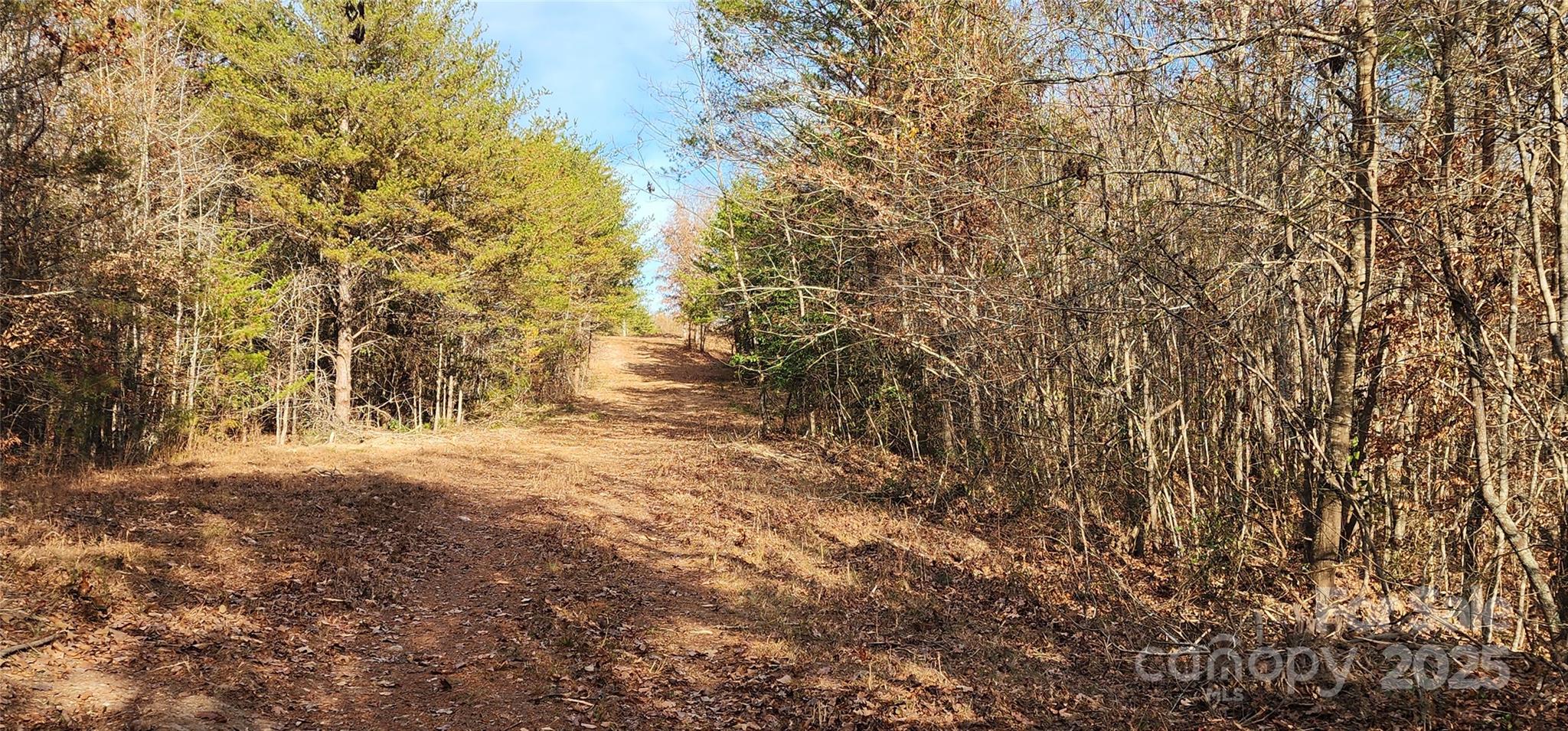 151 Cobb Road Property Photo 23