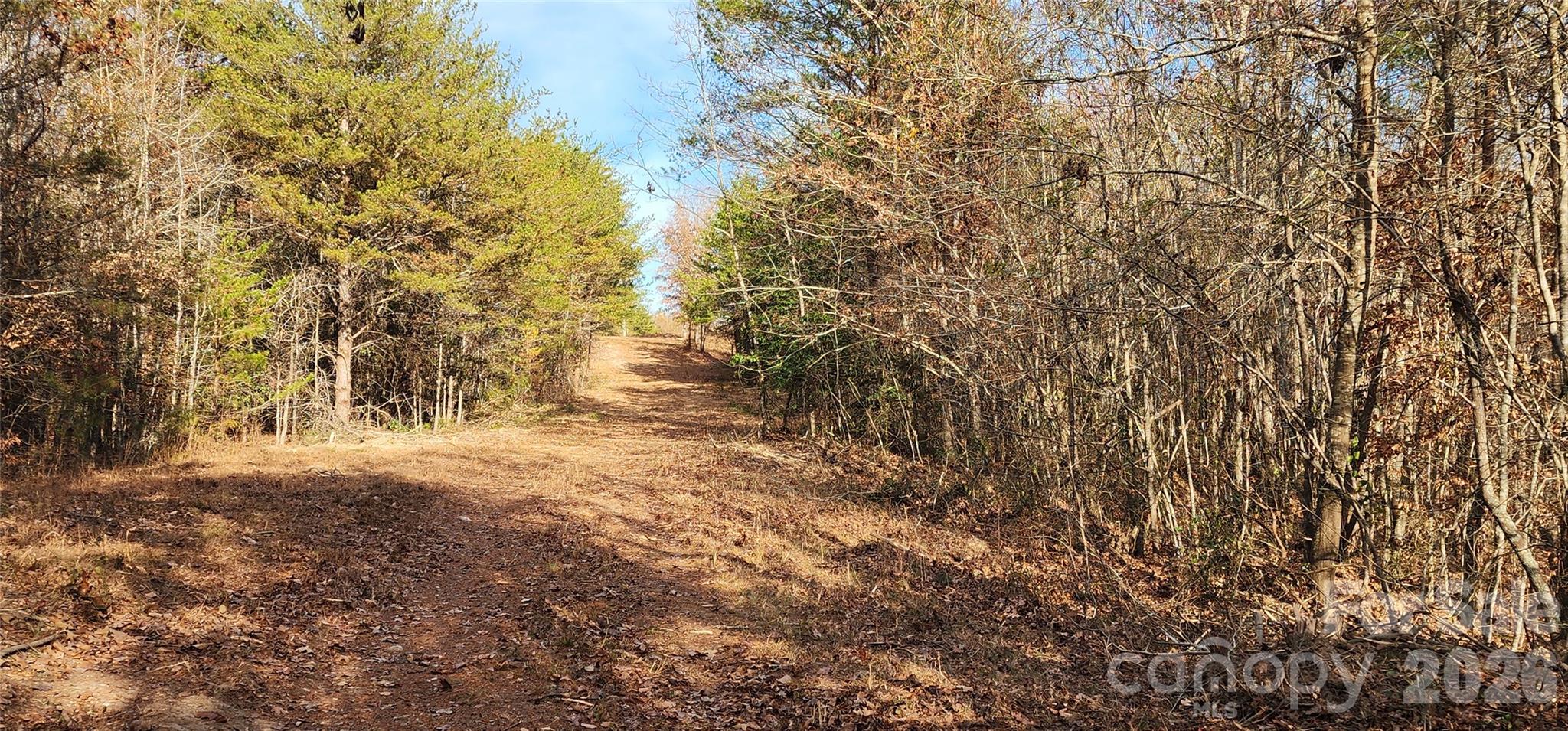 151 Cobb Road Property Photo 23