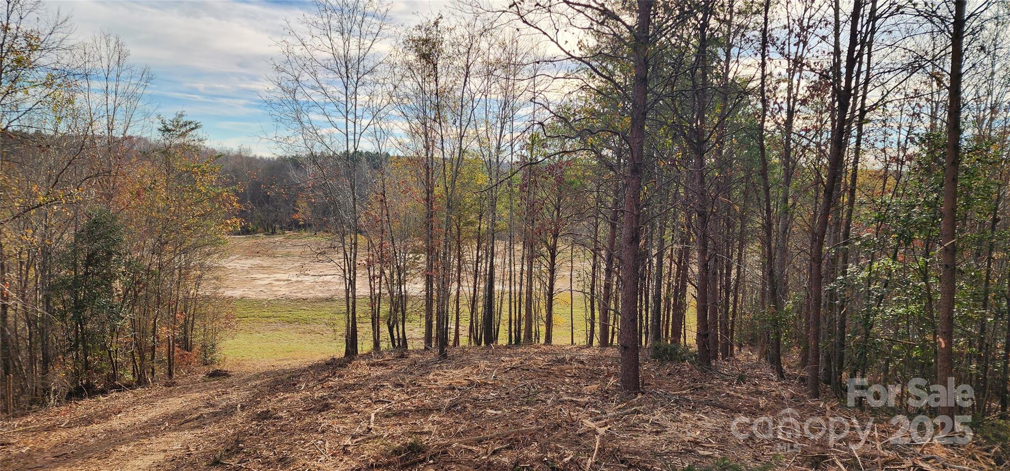 151 Cobb Road Property Photo 24