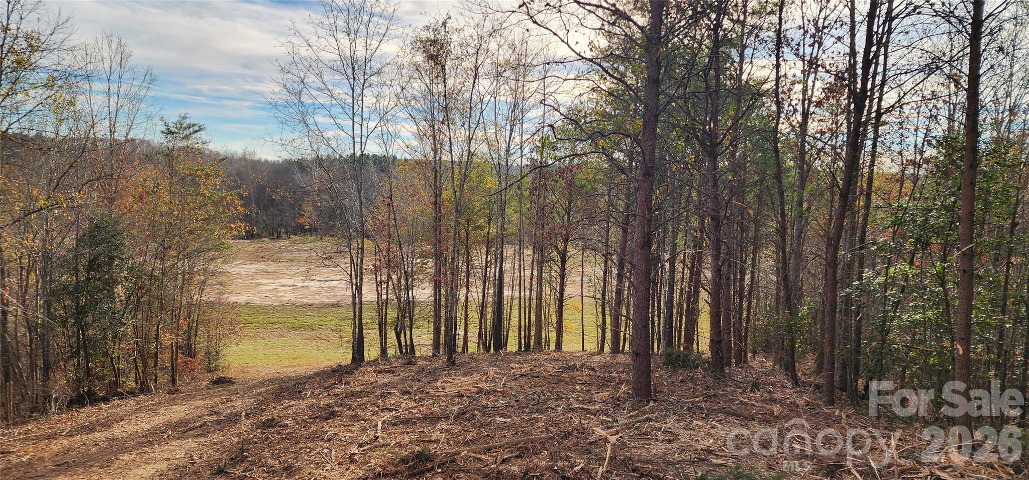 151 Cobb Road Property Photo 24