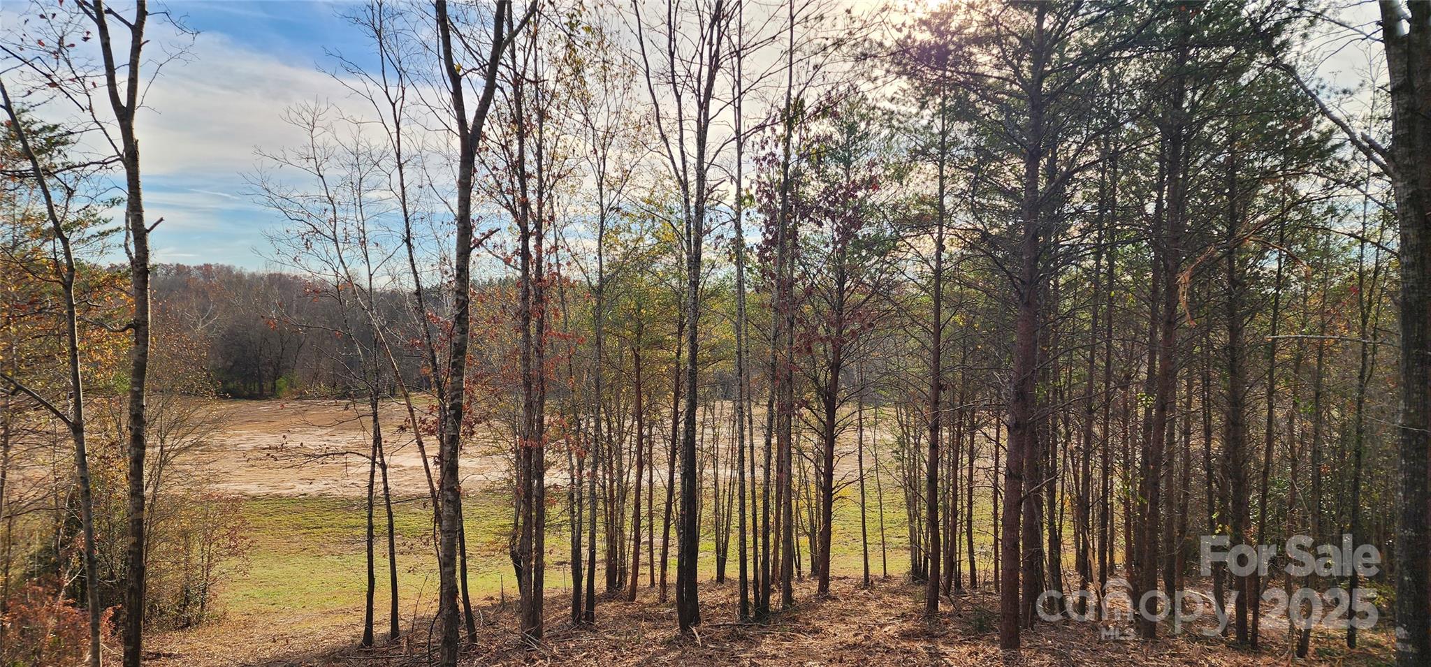 151 Cobb Road Property Photo 25