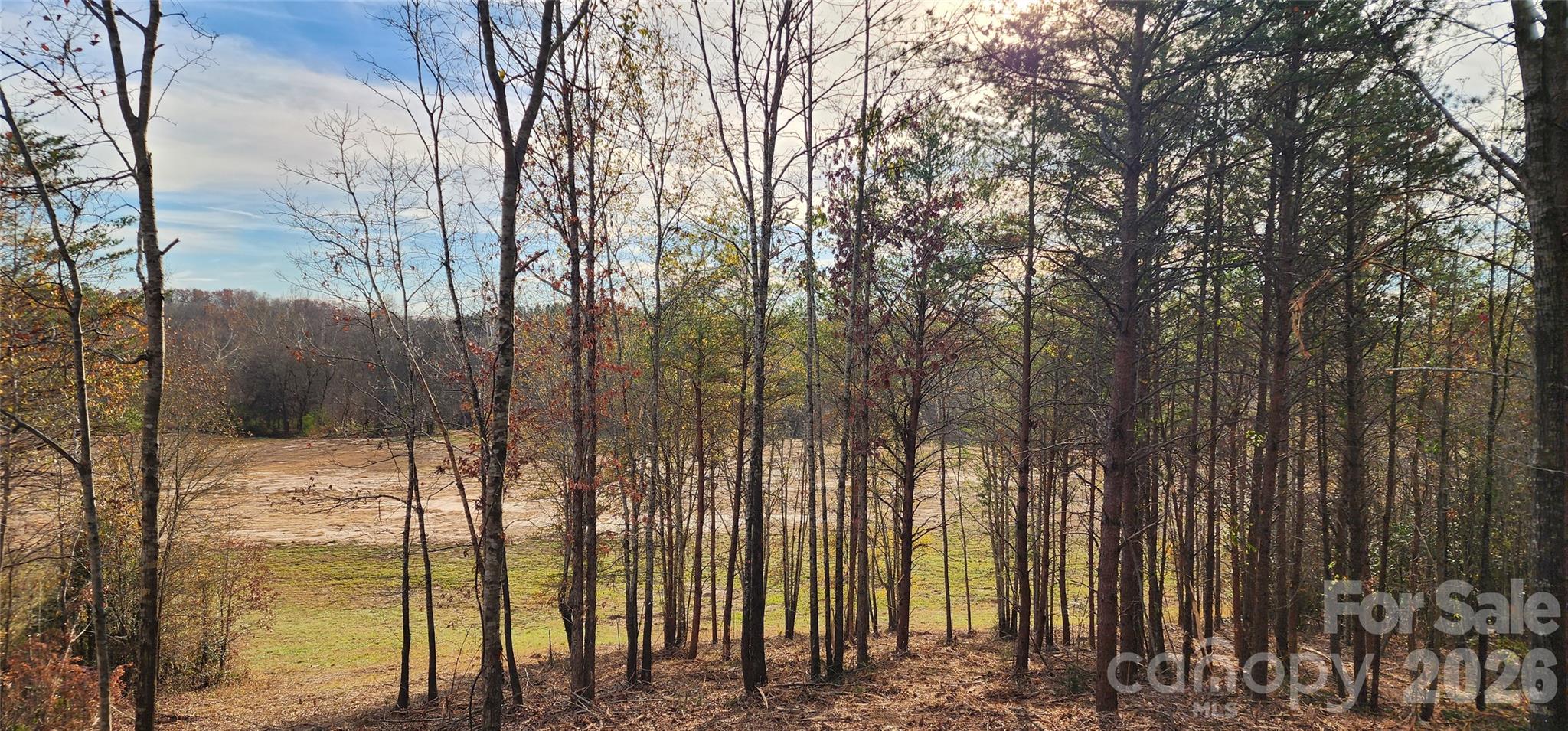 151 Cobb Road Property Photo 25
