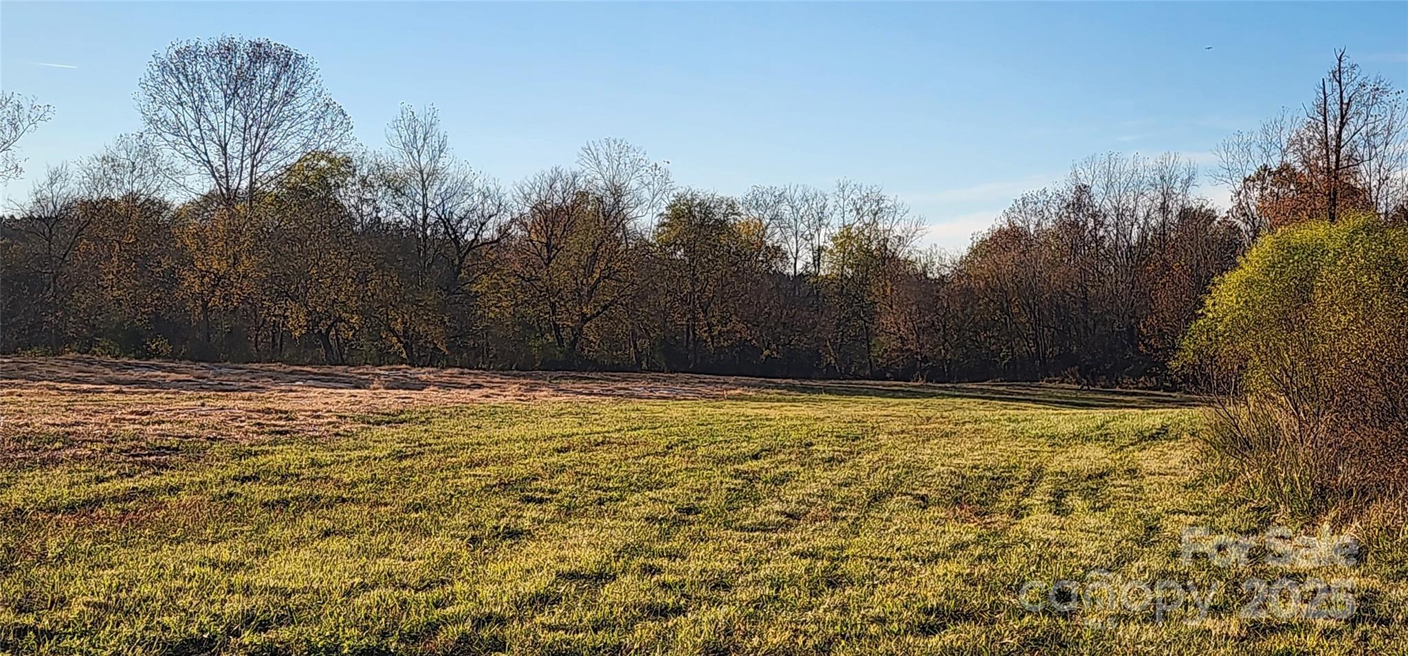 151 Cobb Road Property Photo 28