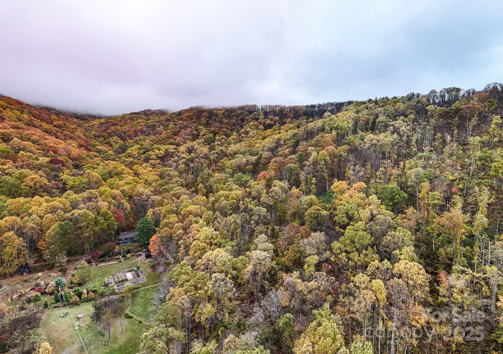 00 Ox Creek Road Property Photo 3