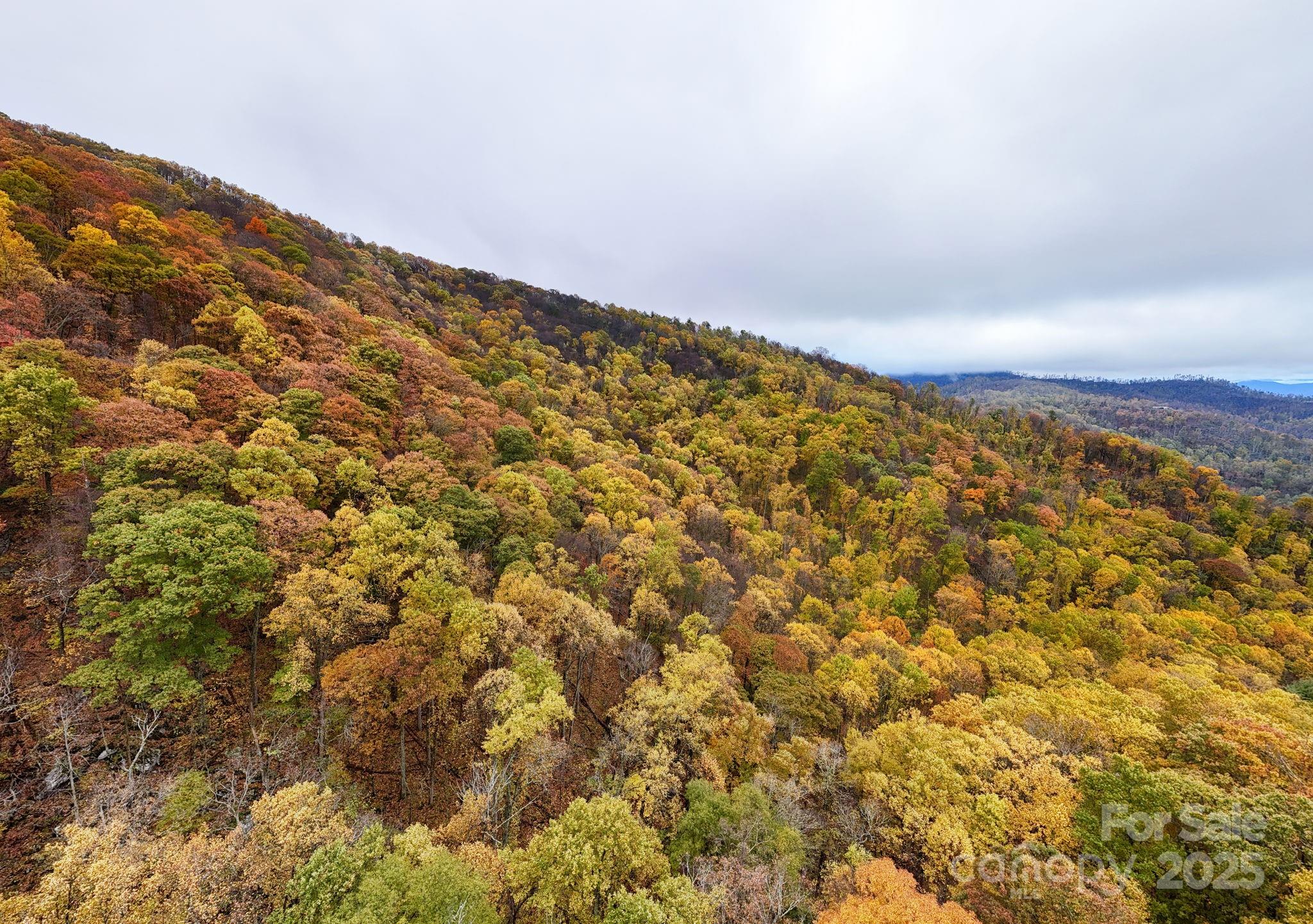 00 Ox Creek Road Property Photo 6