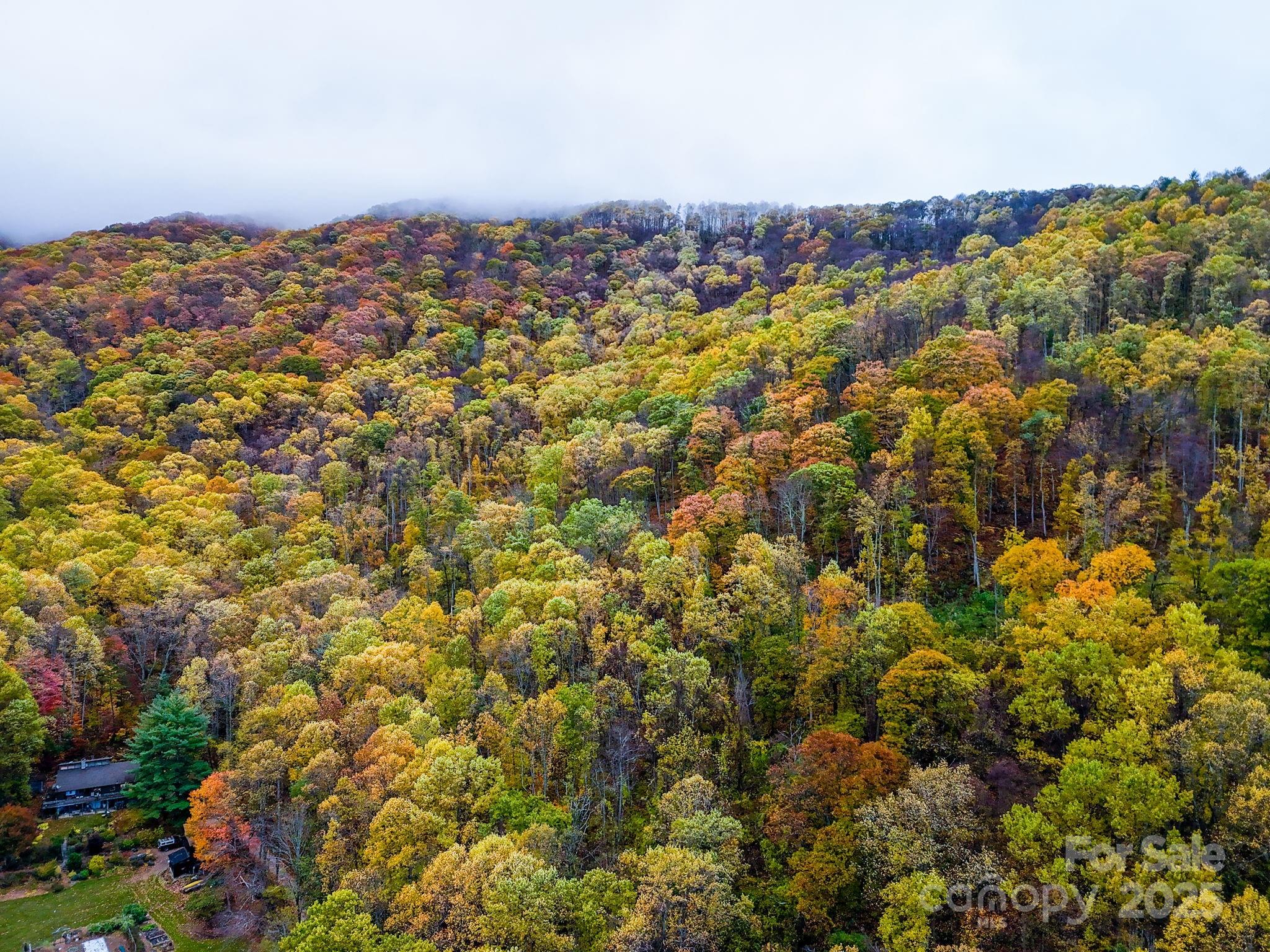 00 Ox Creek Road Property Photo 7