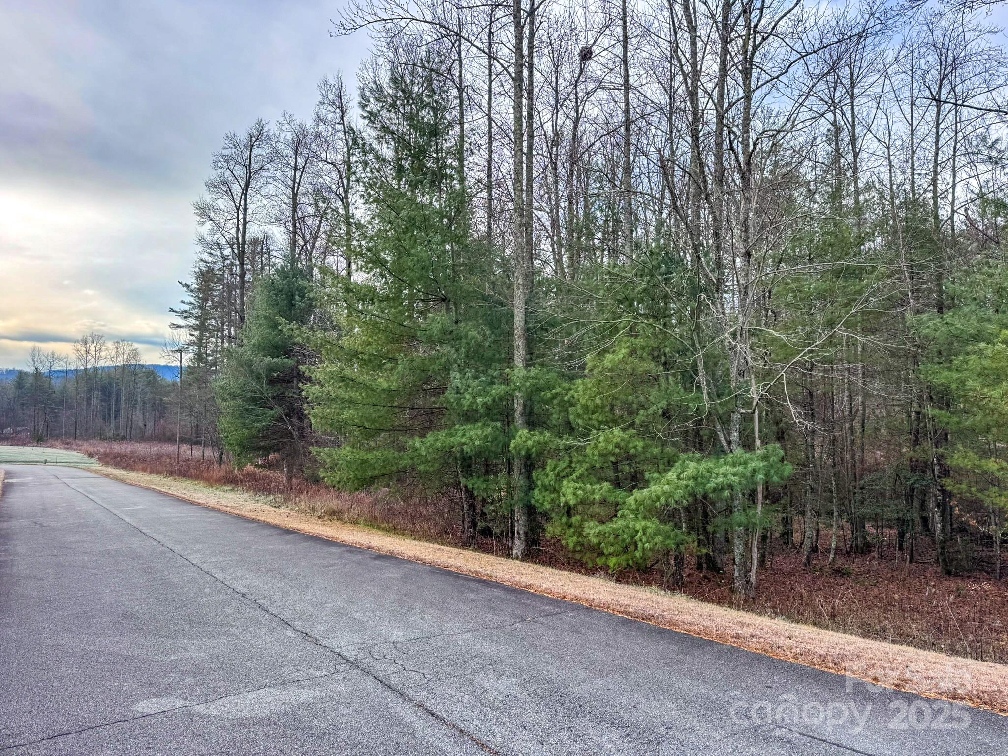 00 Crystal Mountain Drive 14 Property Photo 41